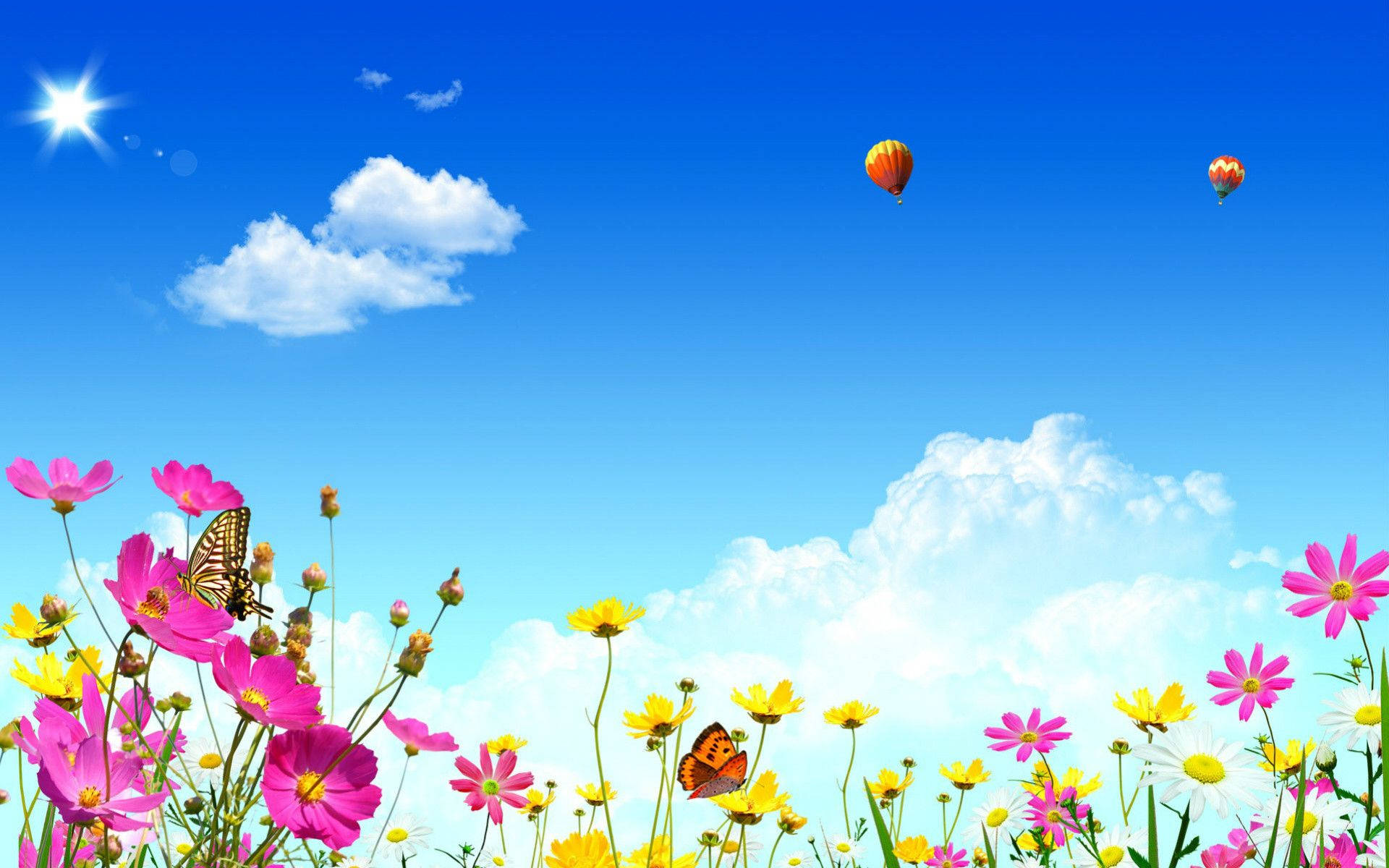 Spring Desktop Flowers And Hot Air Balloon Background