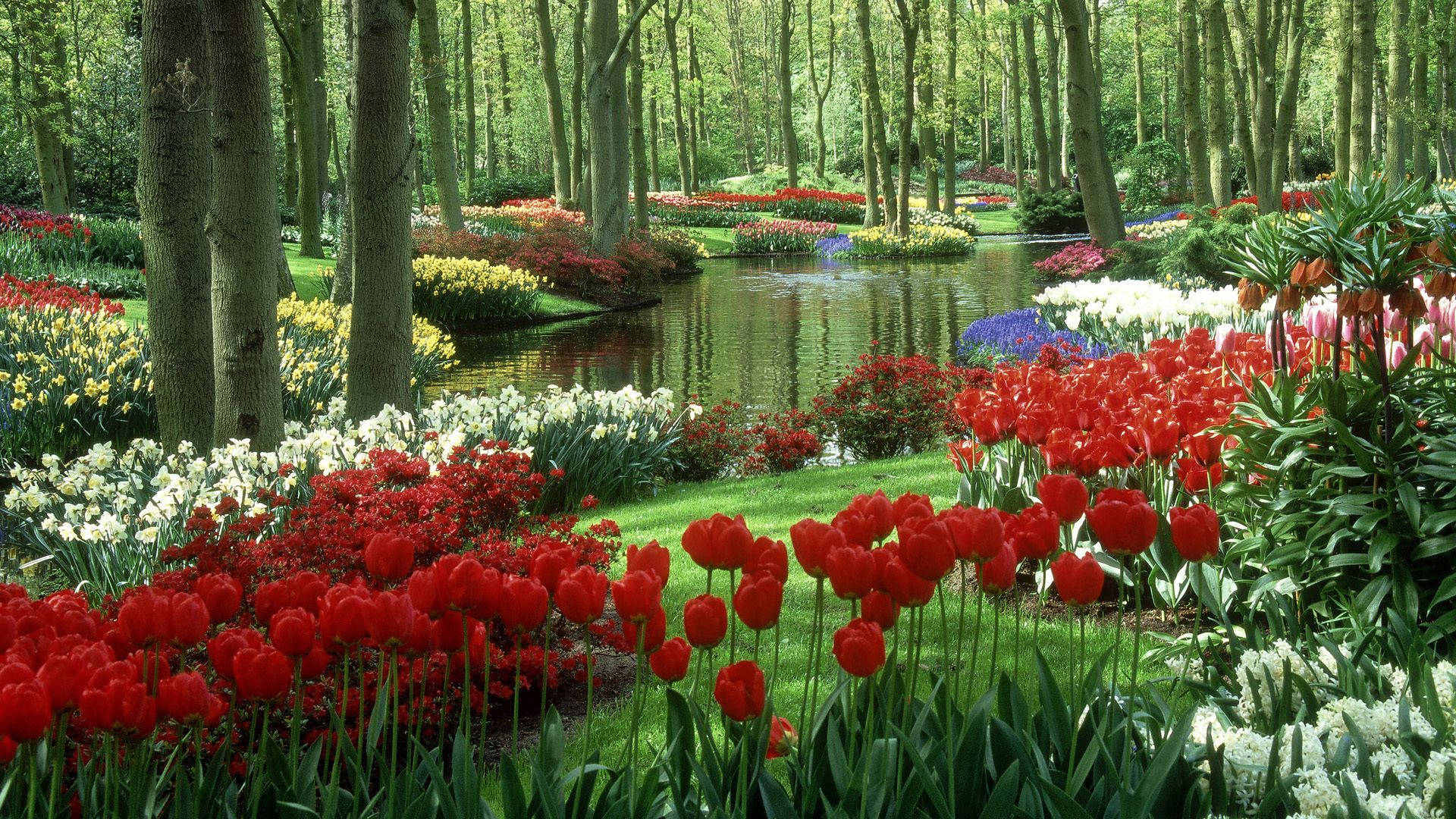 Spring Desktop River Flower Garden Background