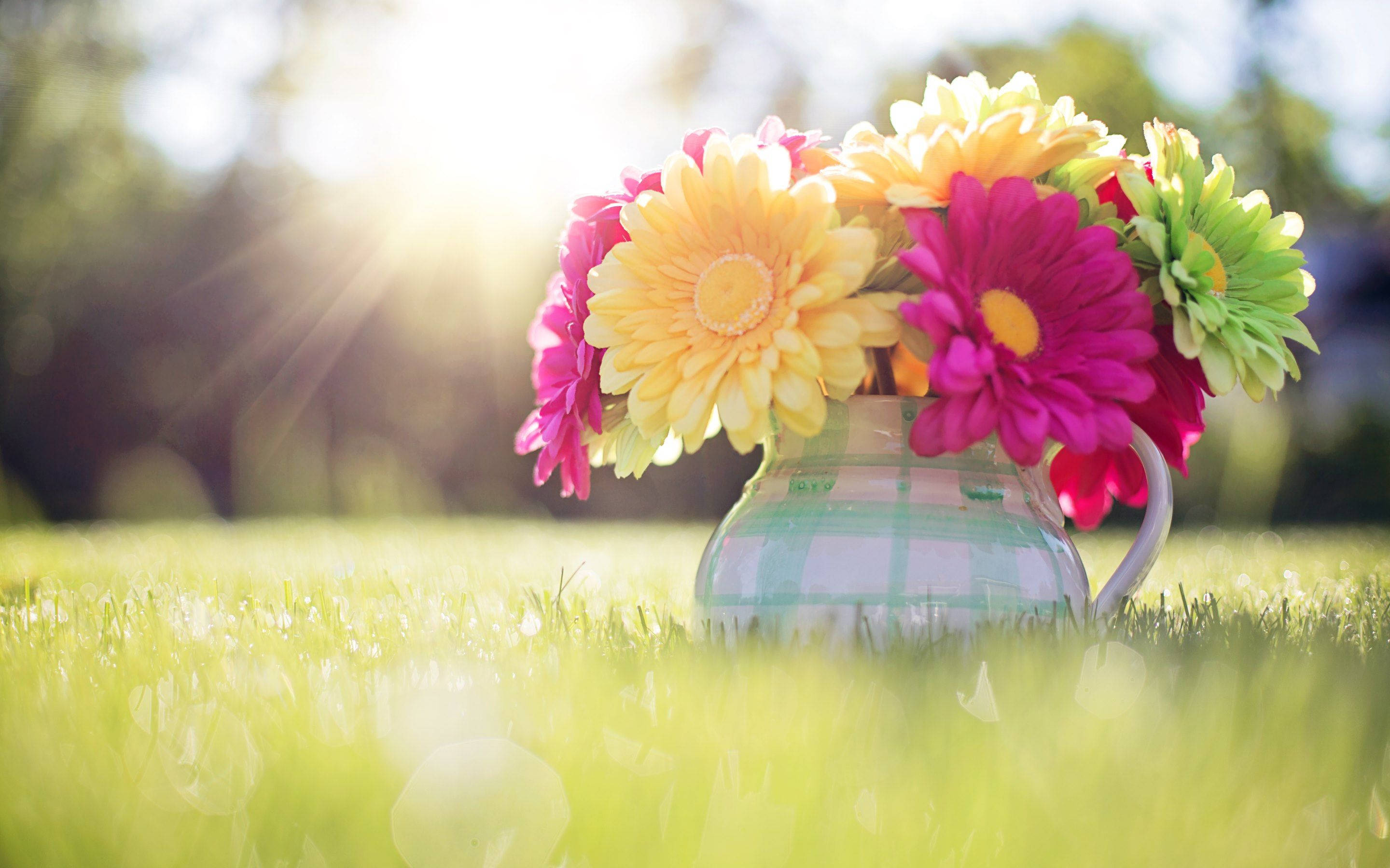 Spring Flowers In Vase Background