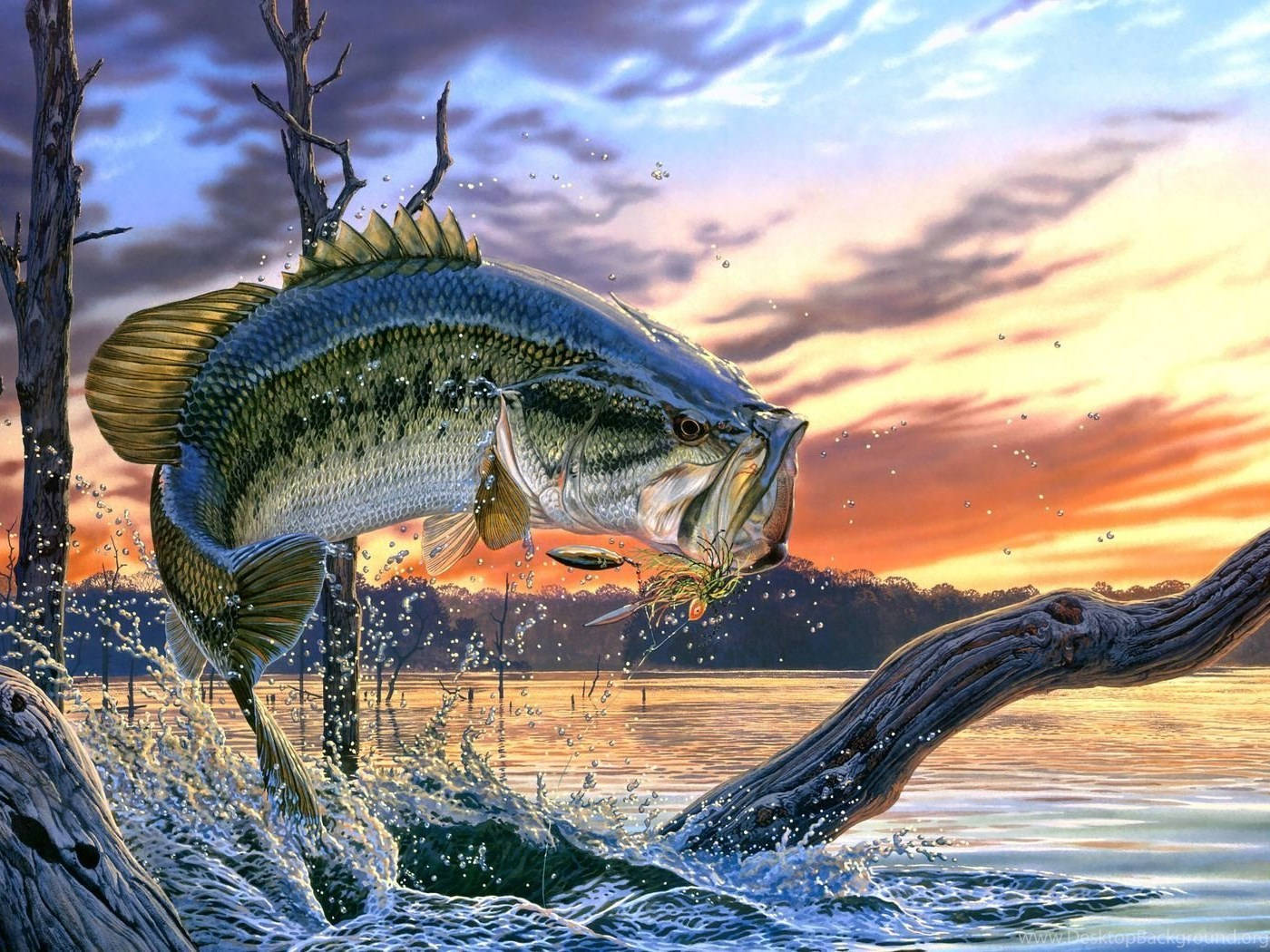 Downloaden Springender Großer Cooler Fisch | Wallpapers.com