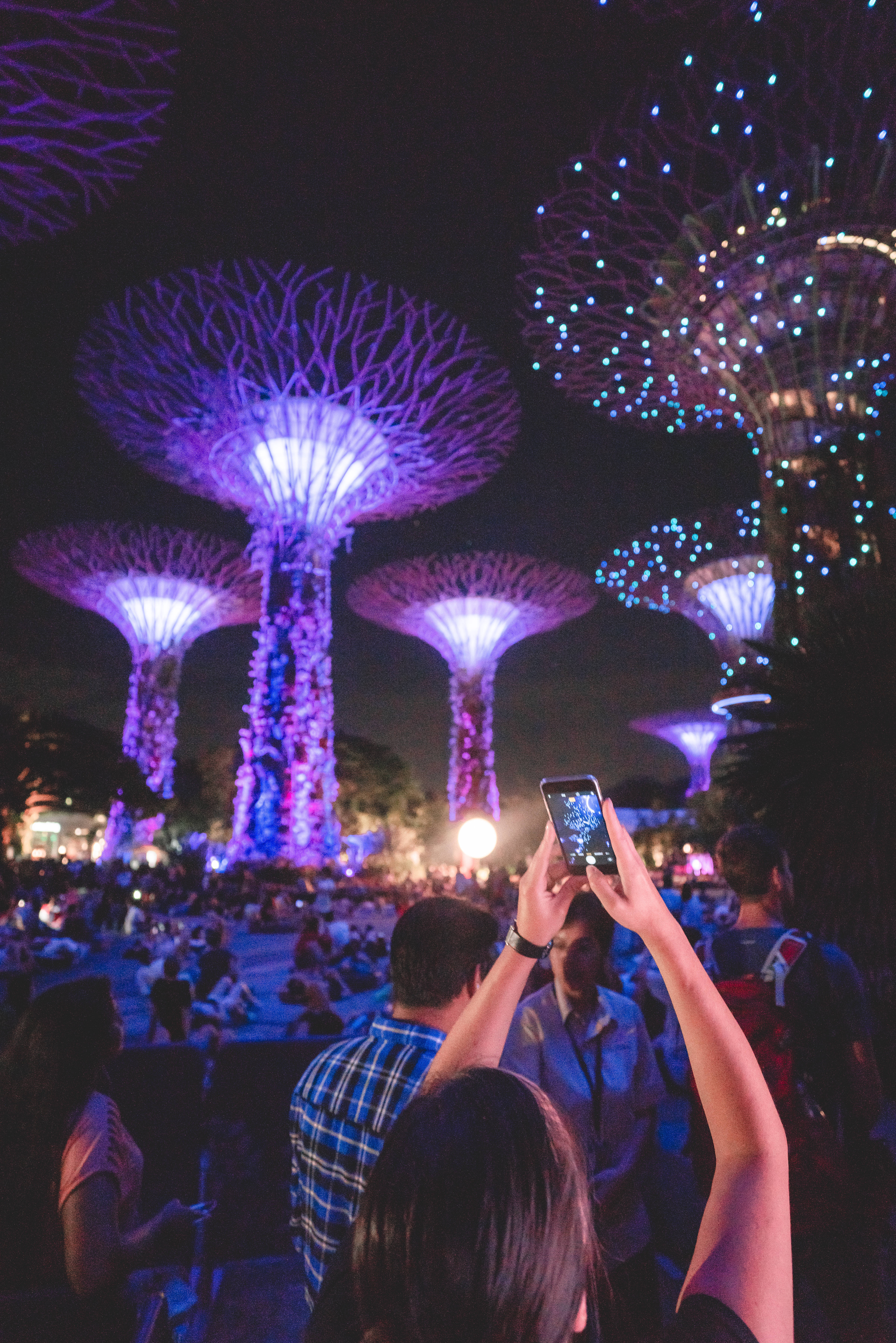 Download Supertree Grove Singapore Neon Phone Wallpaper 