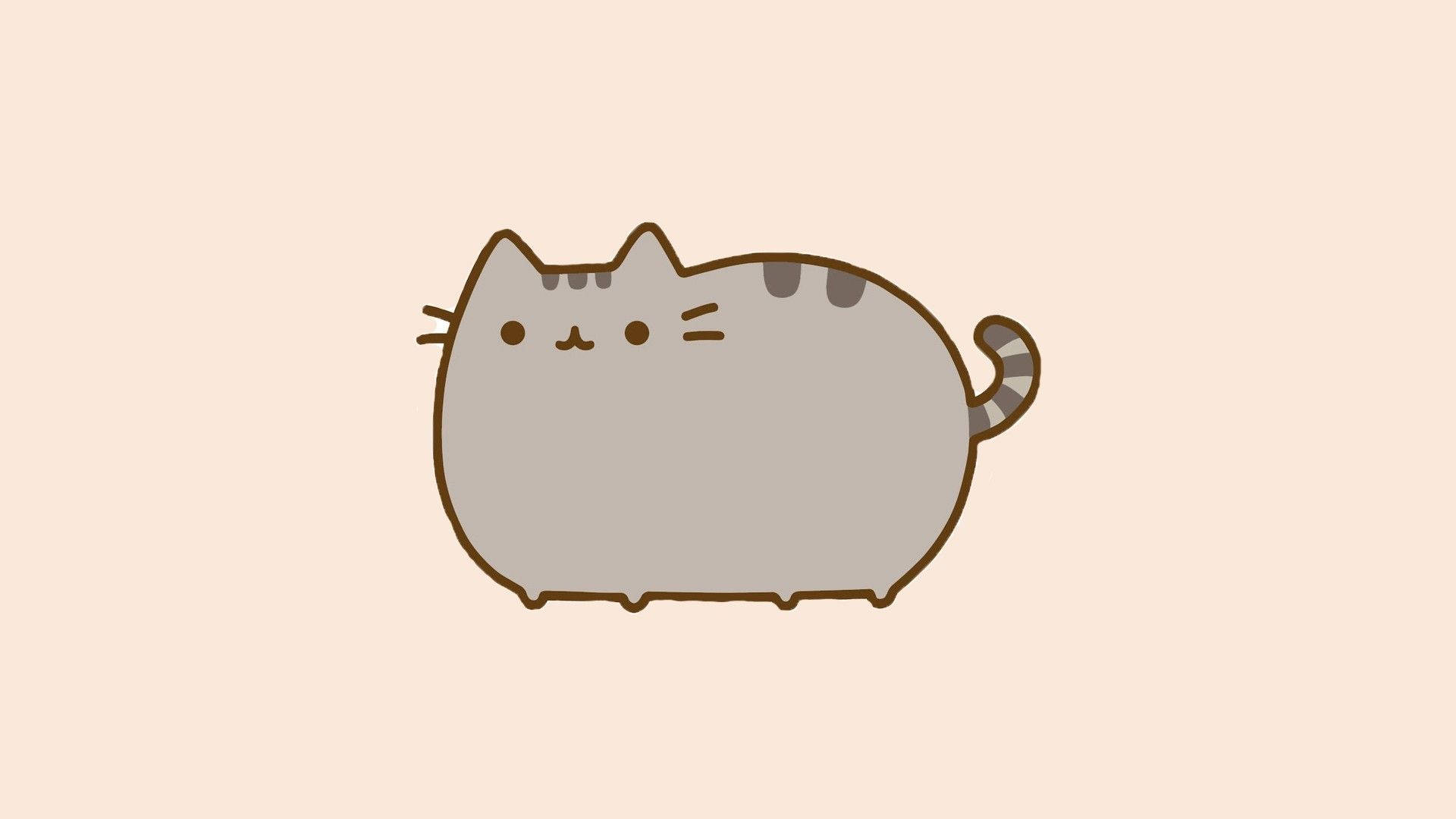 Tabby Pusheen Background Cover Background