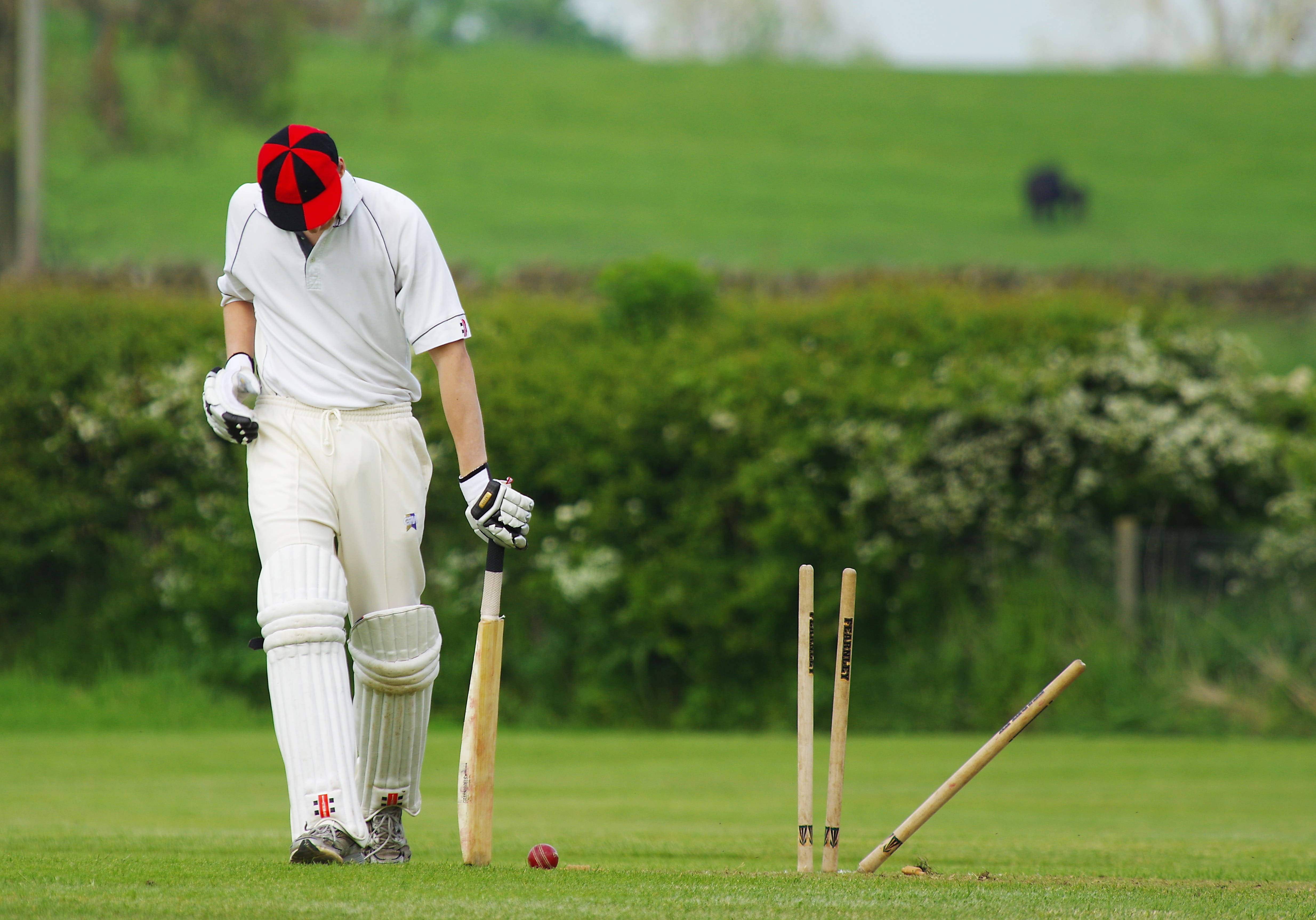 Крекет. Cricket Sport. Крикет в Англии. Спорт в Англии крикет. Крикет спорт игра.