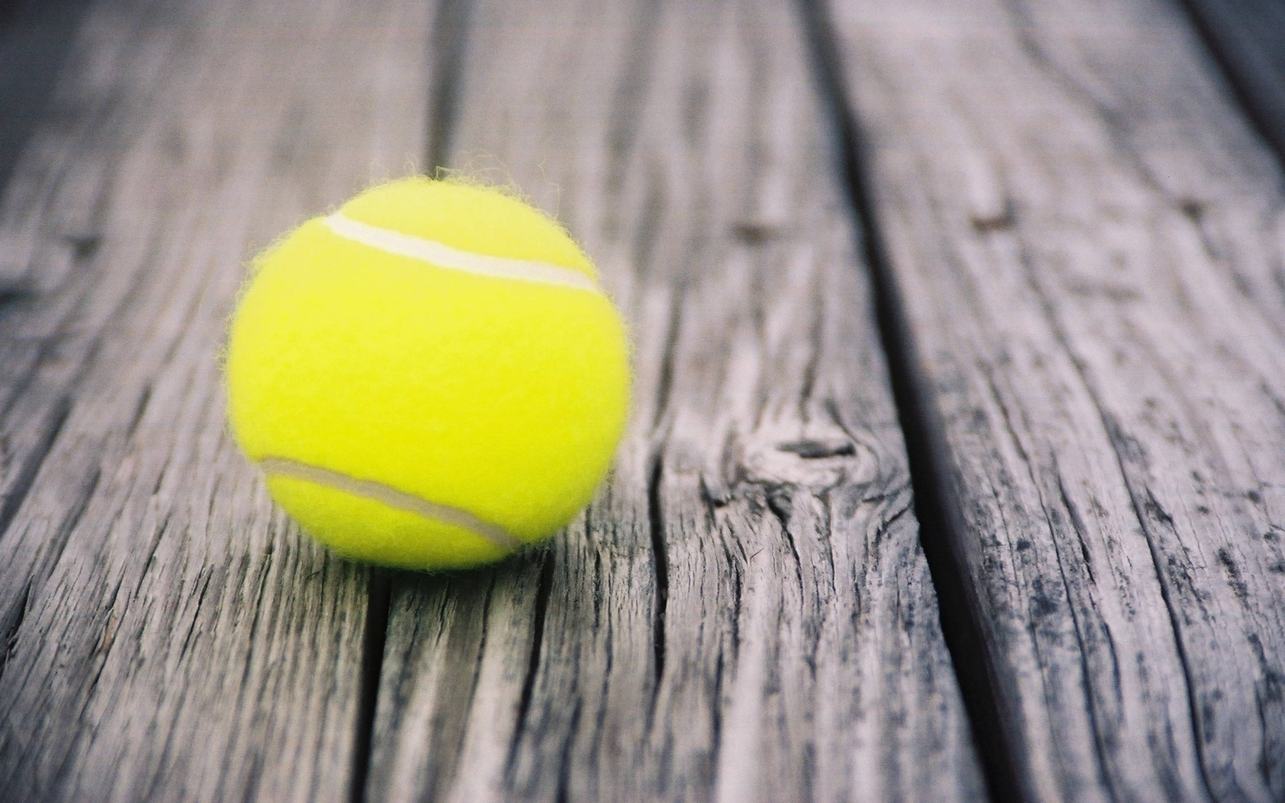 Download Tennis Ball On Wood Planks Wallpaper | Wallpapers.com