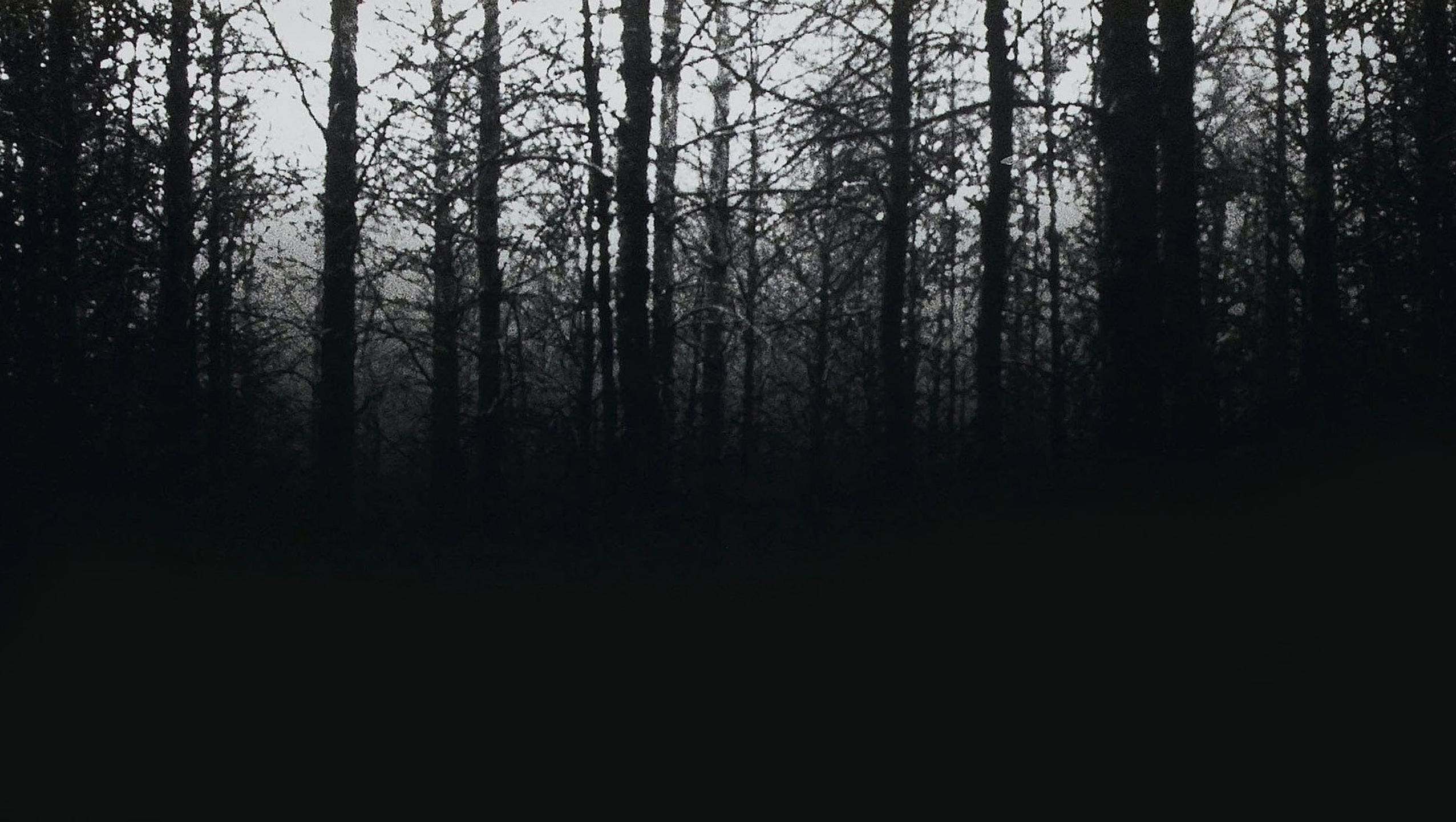 The Blair Witch Project Cover Background