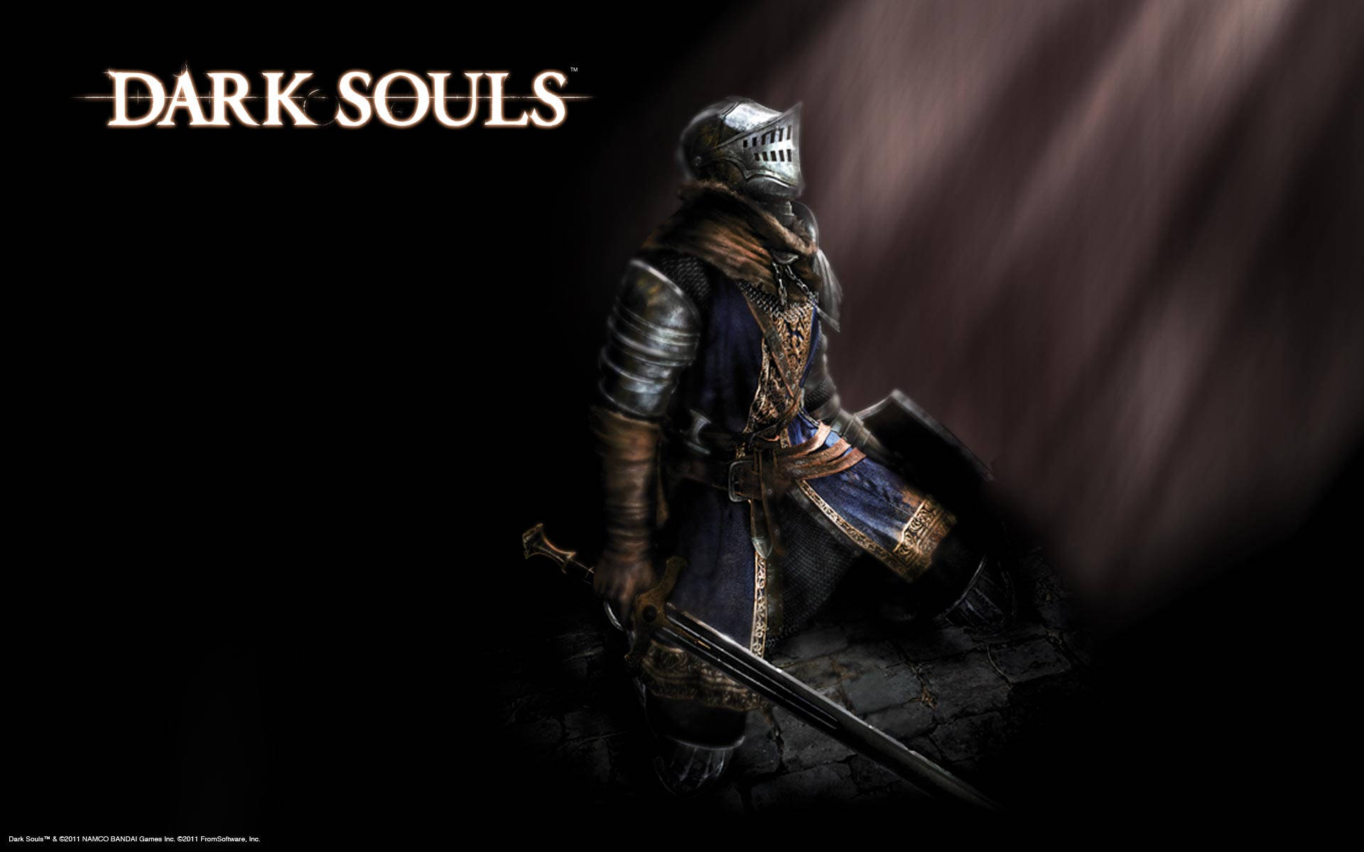 The Chosen Undead Kneeling Dark Souls Background