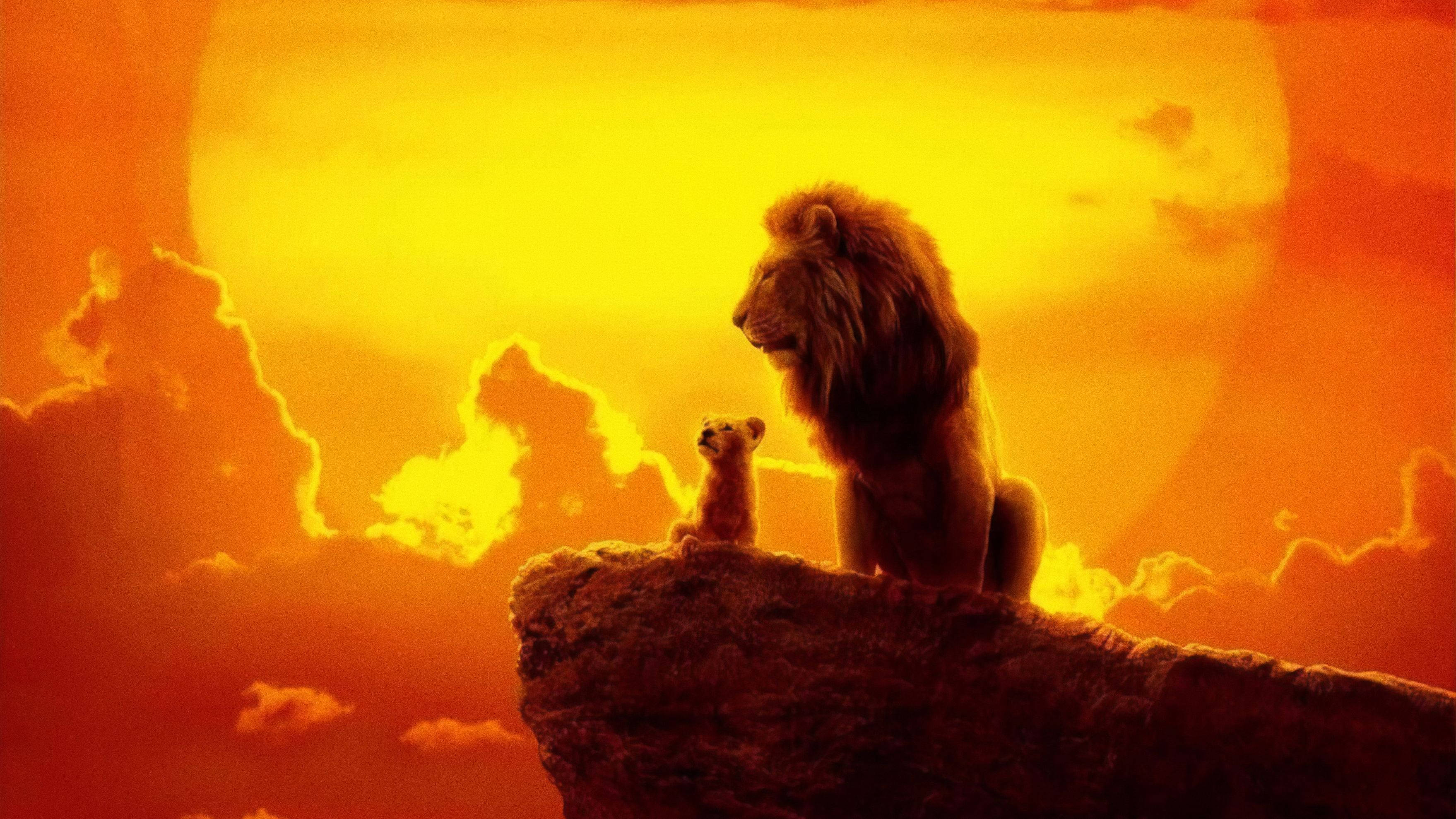 The Lion King 2019 Sunset Hd Background