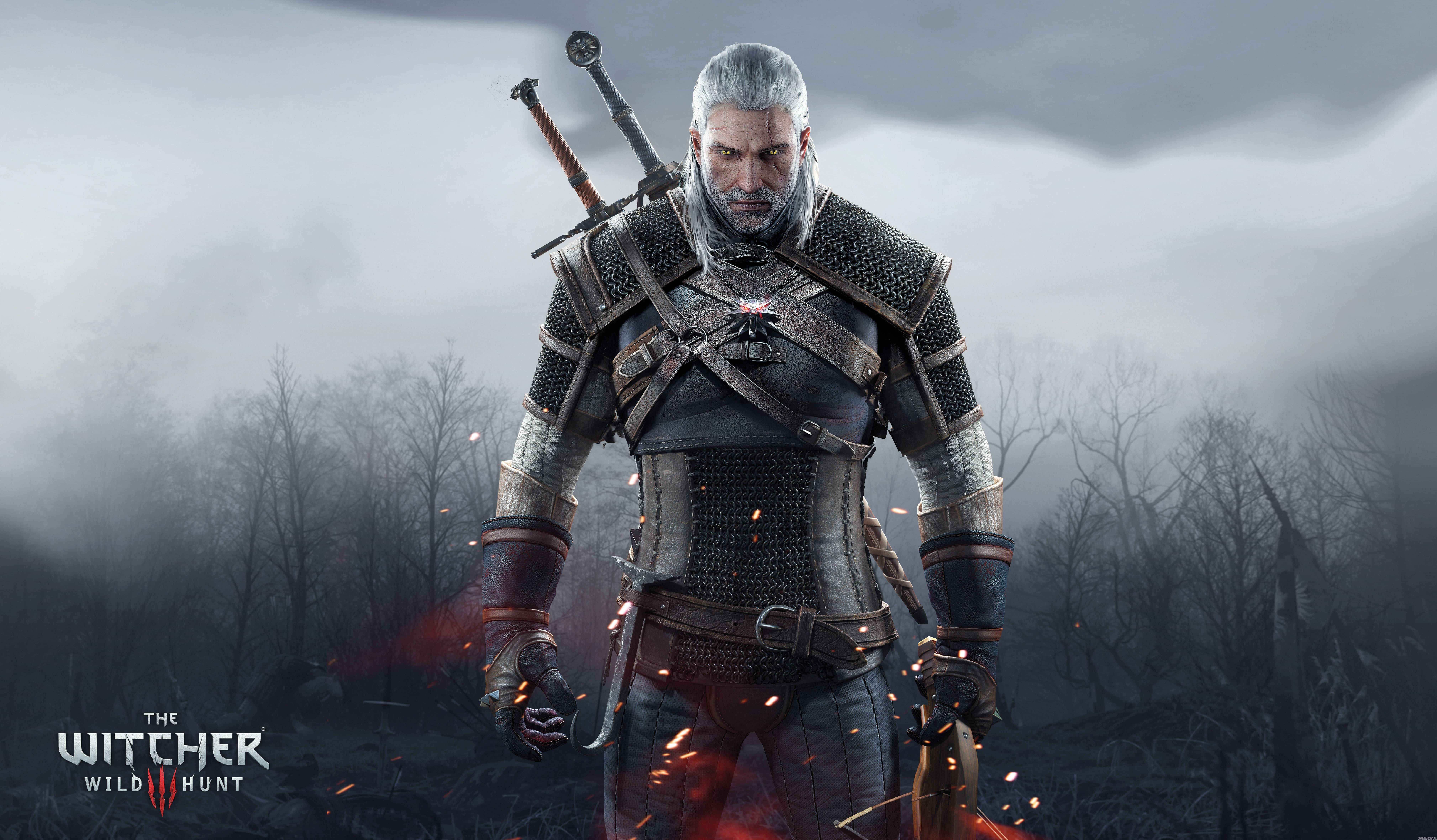 The Witcher 3 Wild Hunt Hd Wallpaper Background