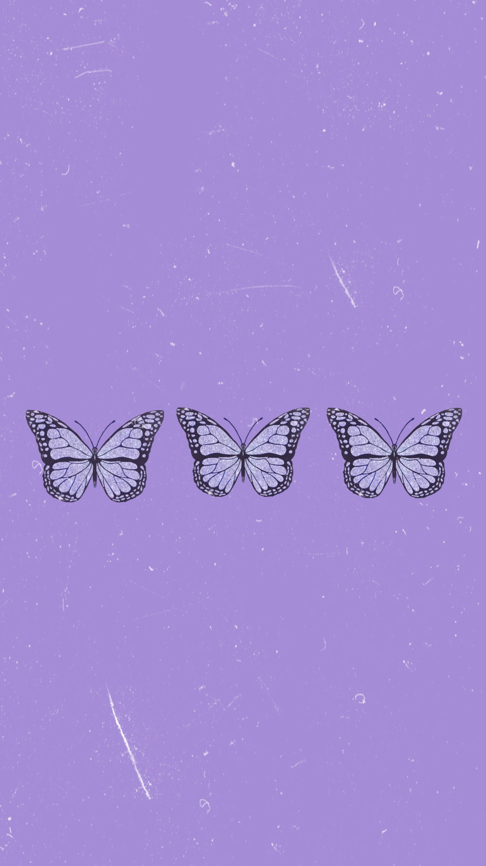 Download Three Purple Butterfly Phone Background Wallpaper 