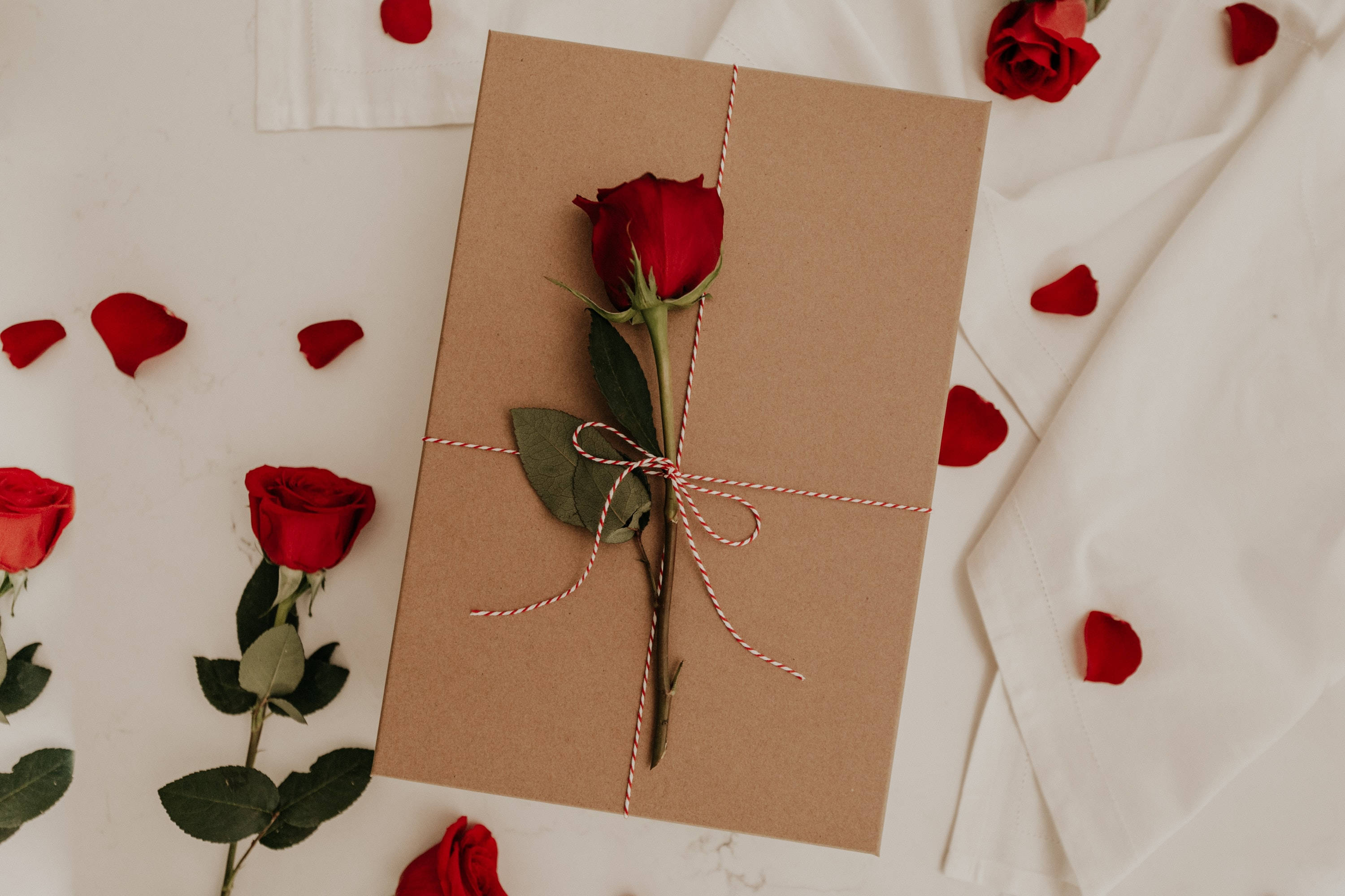 Valentine's Day Gift Box With Roses And A Bow Background