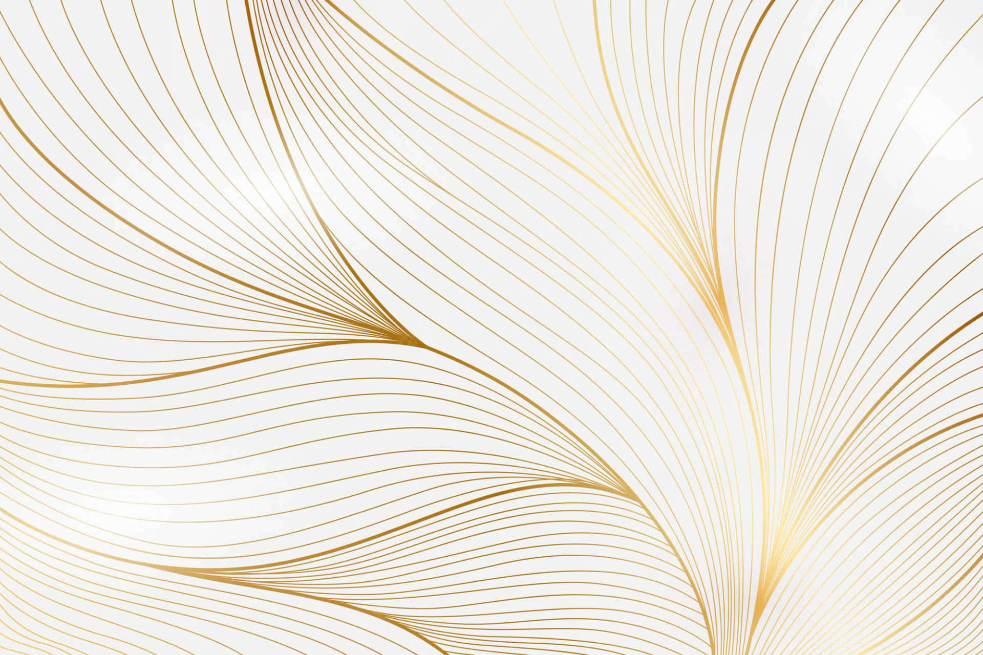 download-white-and-gold-background-wallpapers