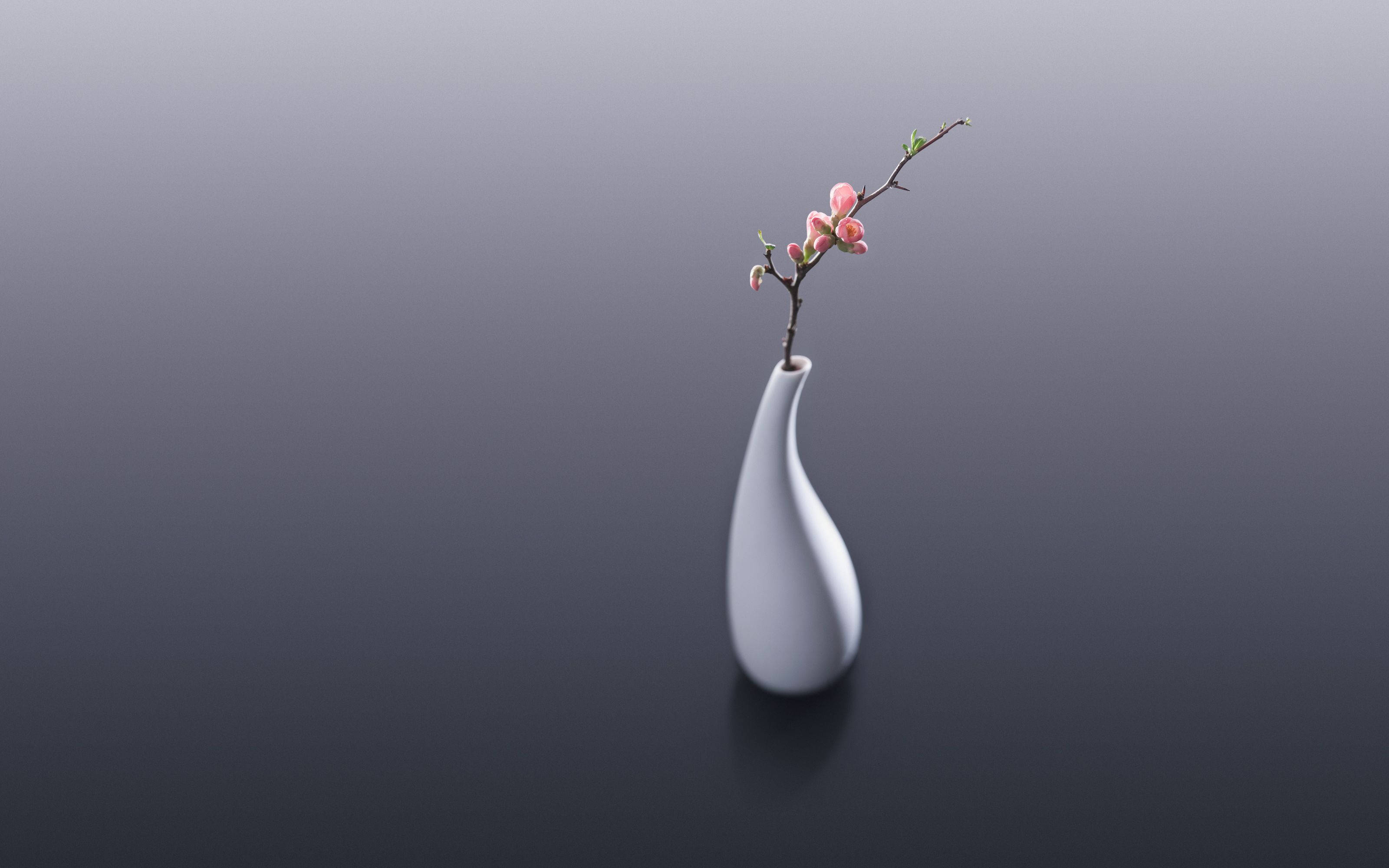 Download White Ceramic Flower Vase With Cherry Blossom Wallpaper