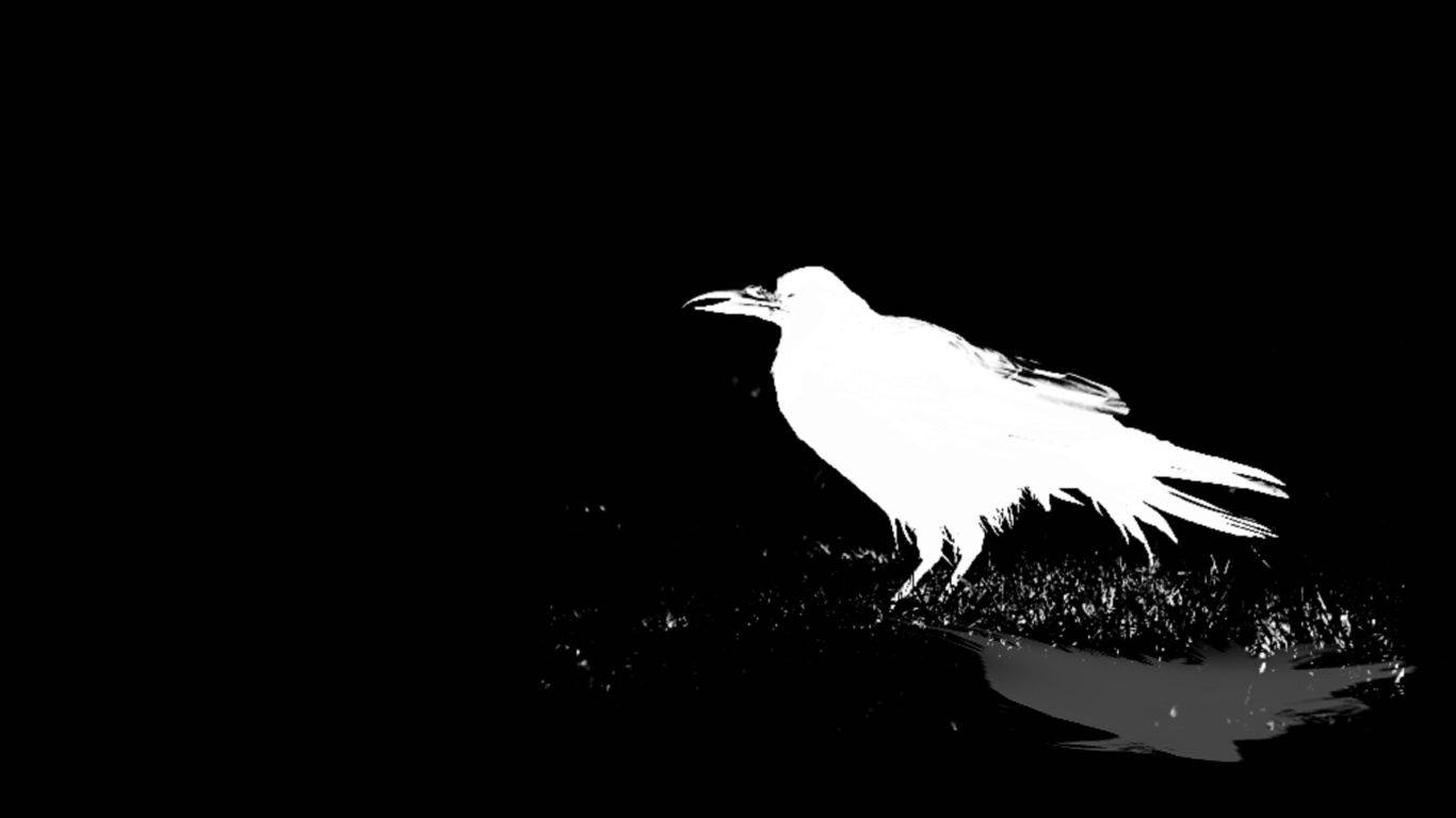 White Raven Graphic Art Background