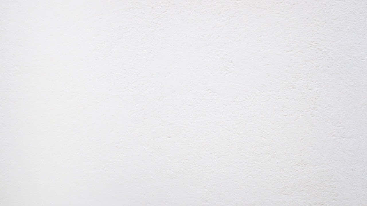 Download White Solid Background
