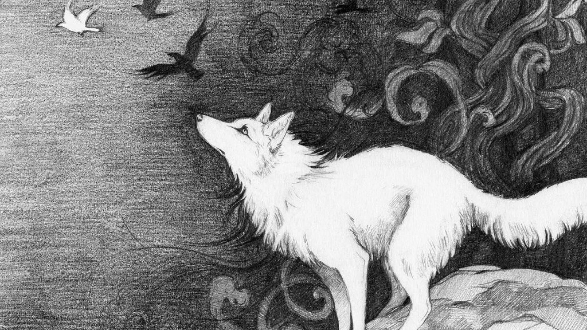 White Wolf Art Drawing Background
