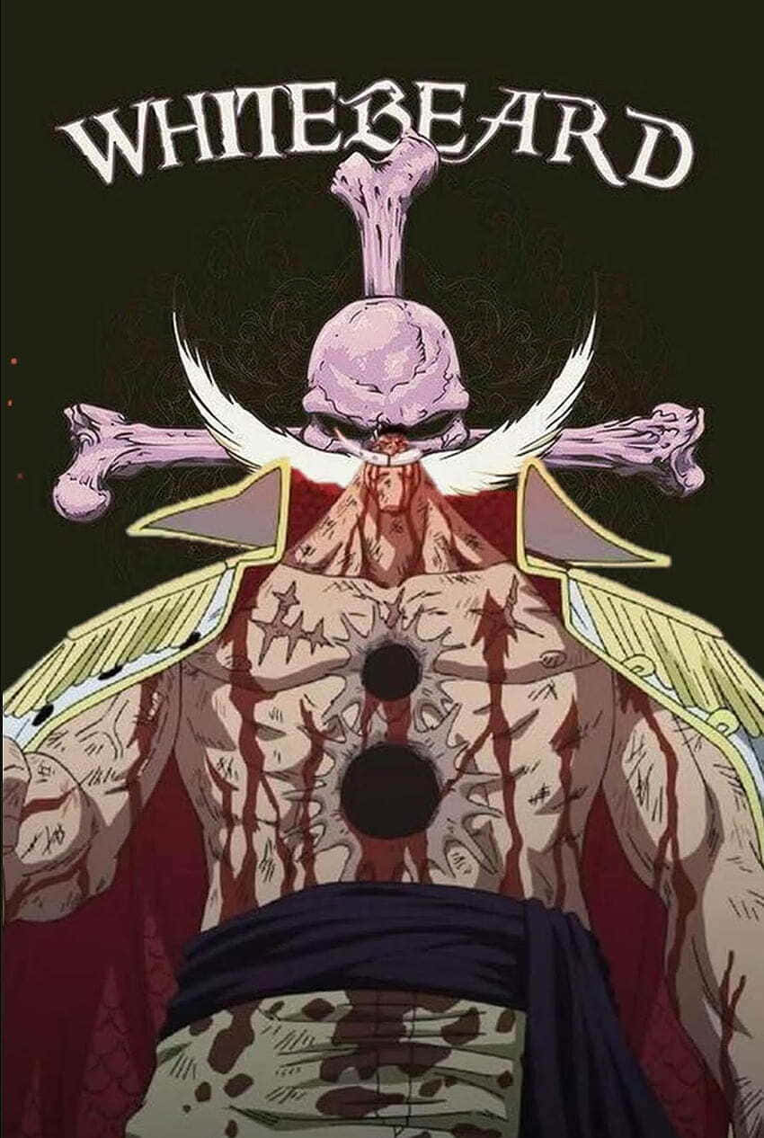 Download The Legendary Whitebeard Wallpaper