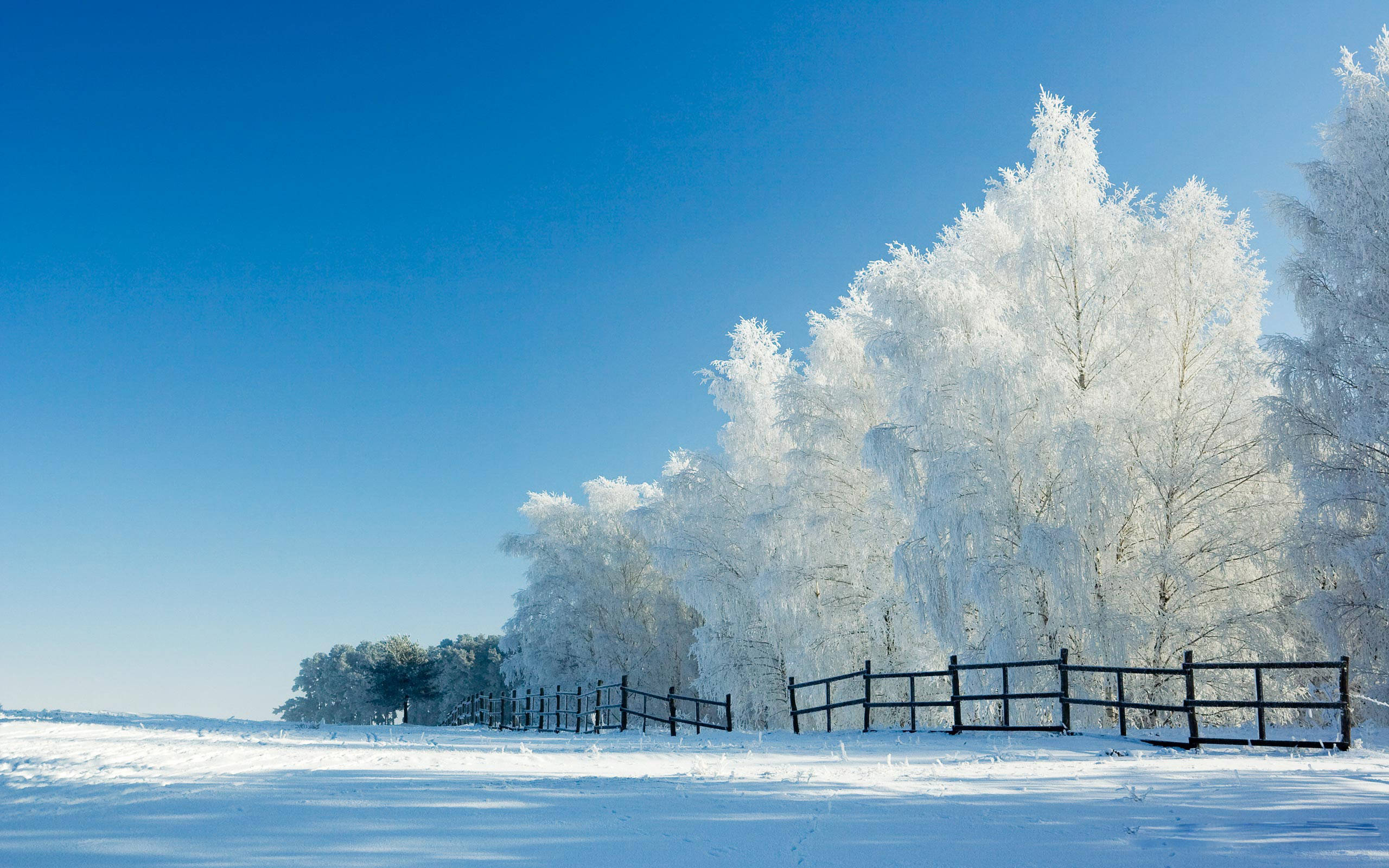 Вид зимы. Зимняя природа. Зима пейзаж. Снежный пейзаж. Зима снег.