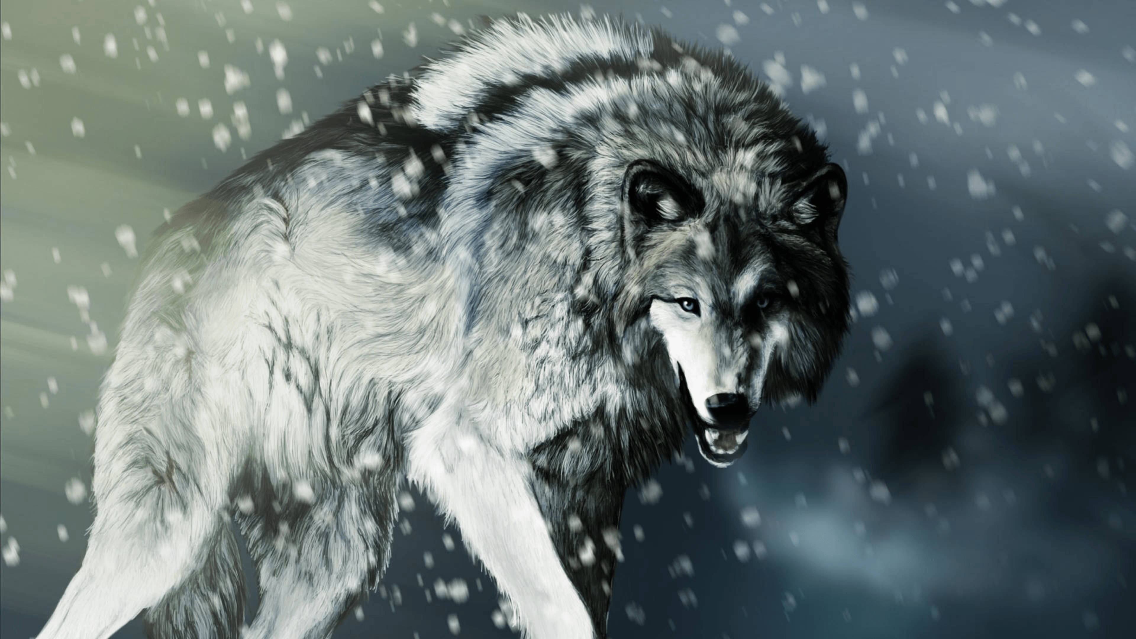Wolf In Snow Background