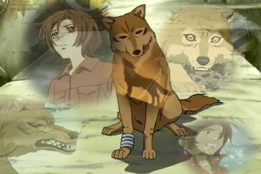 Download Wolfs Rain Toboe 900 X 600 Wallpaper Wallpaper