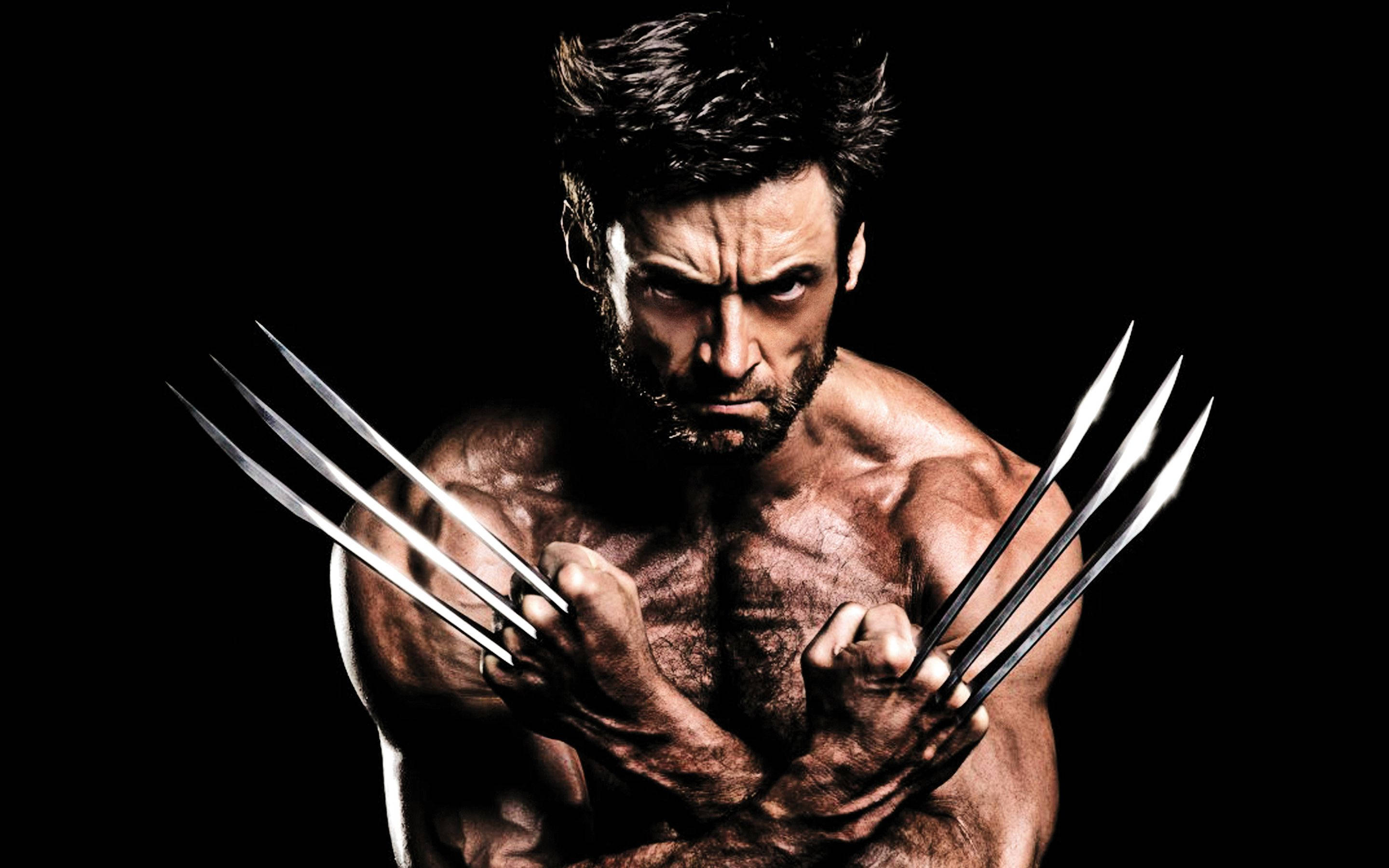 Download Wolverine With Claws Wallpaper Wallpapers Com