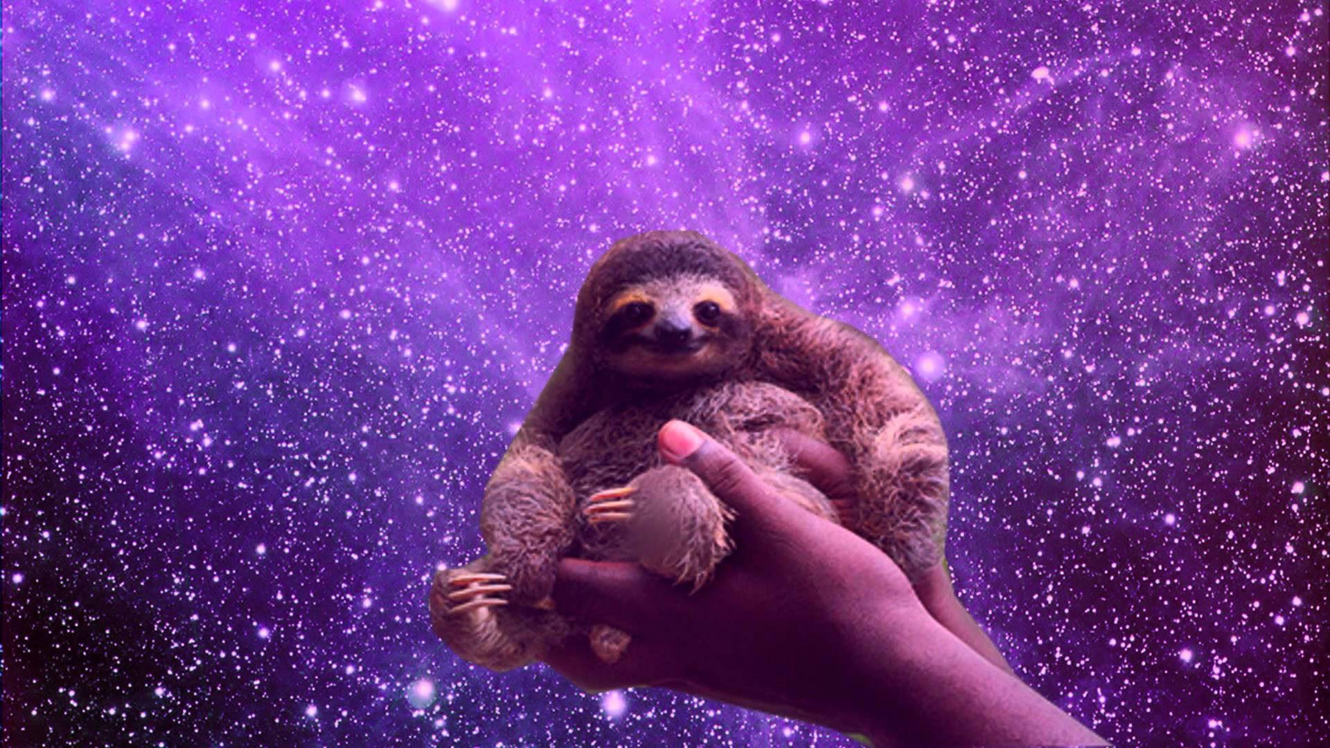 Woman Holding Baby Sloth Background