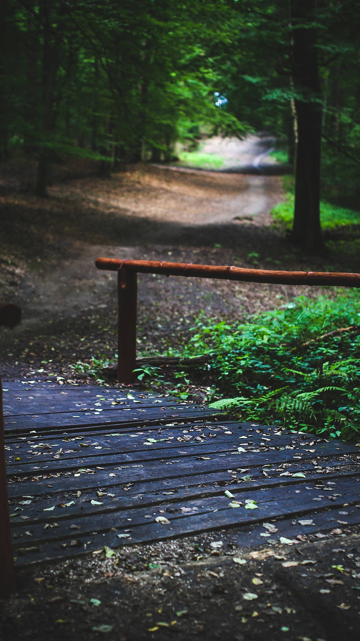 Download Wood Bridge In Park Smartphone Background Wallpaper |  