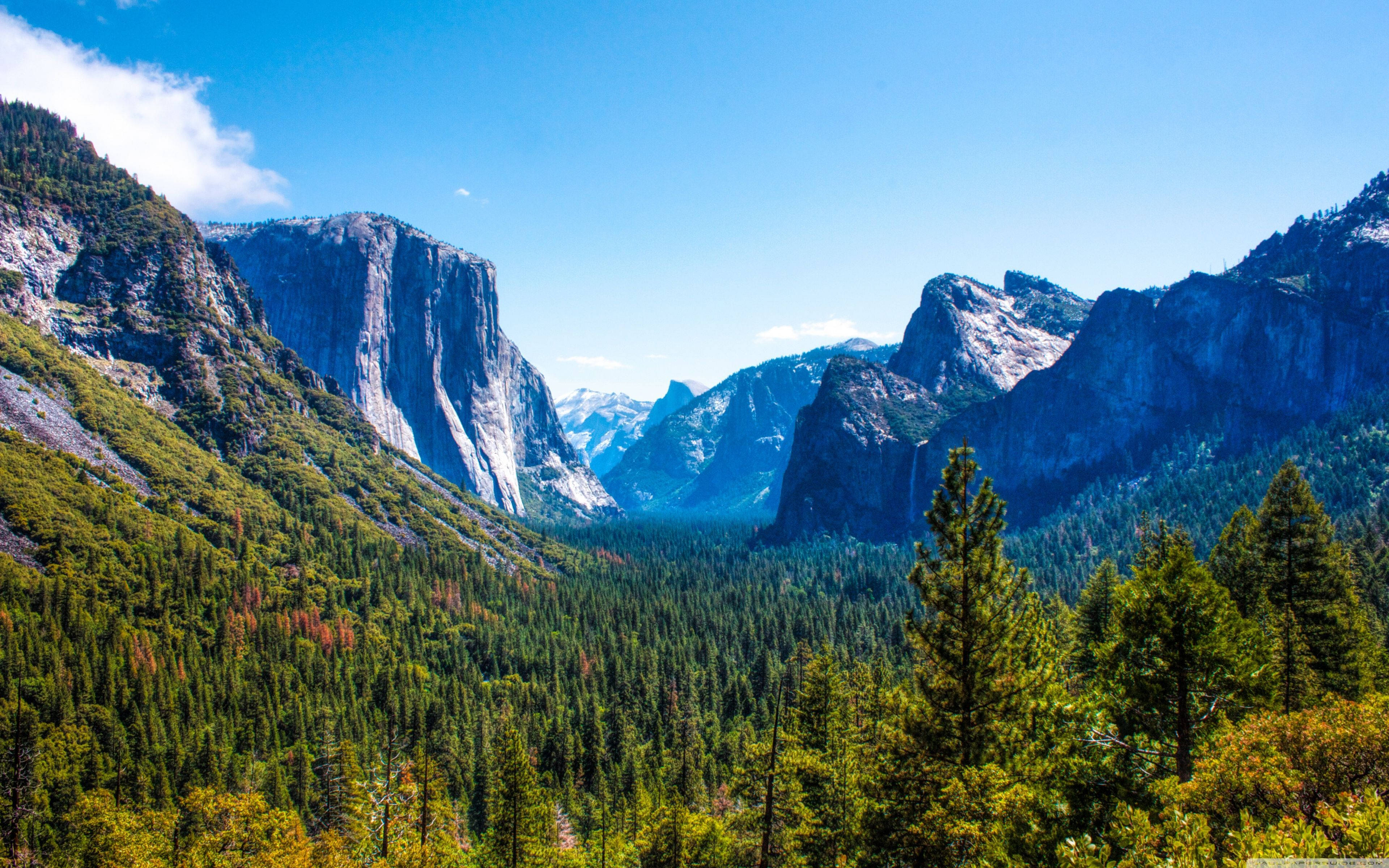 Yosemite Mountain Nature Background