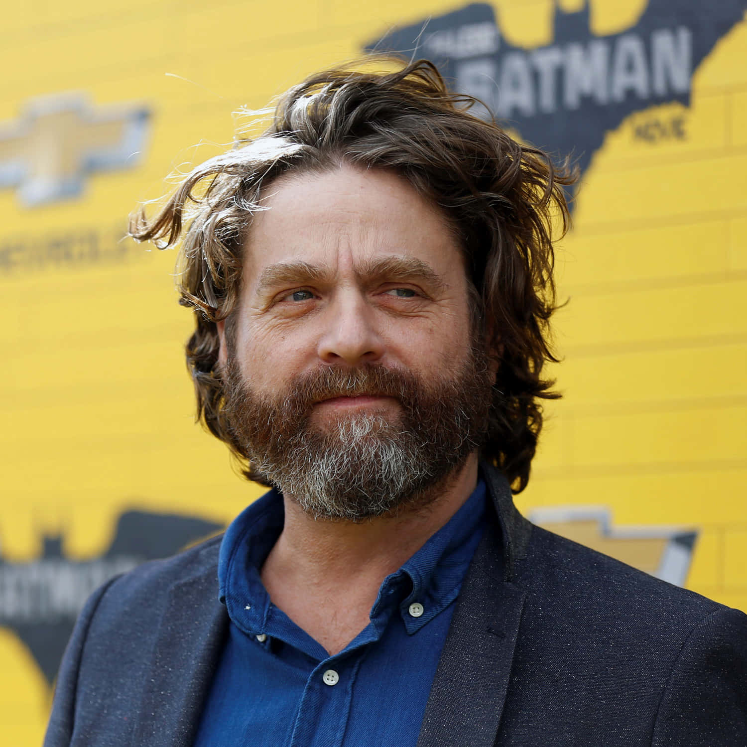 Download Zach Galifianakis in a dramatic look Wallpaper
