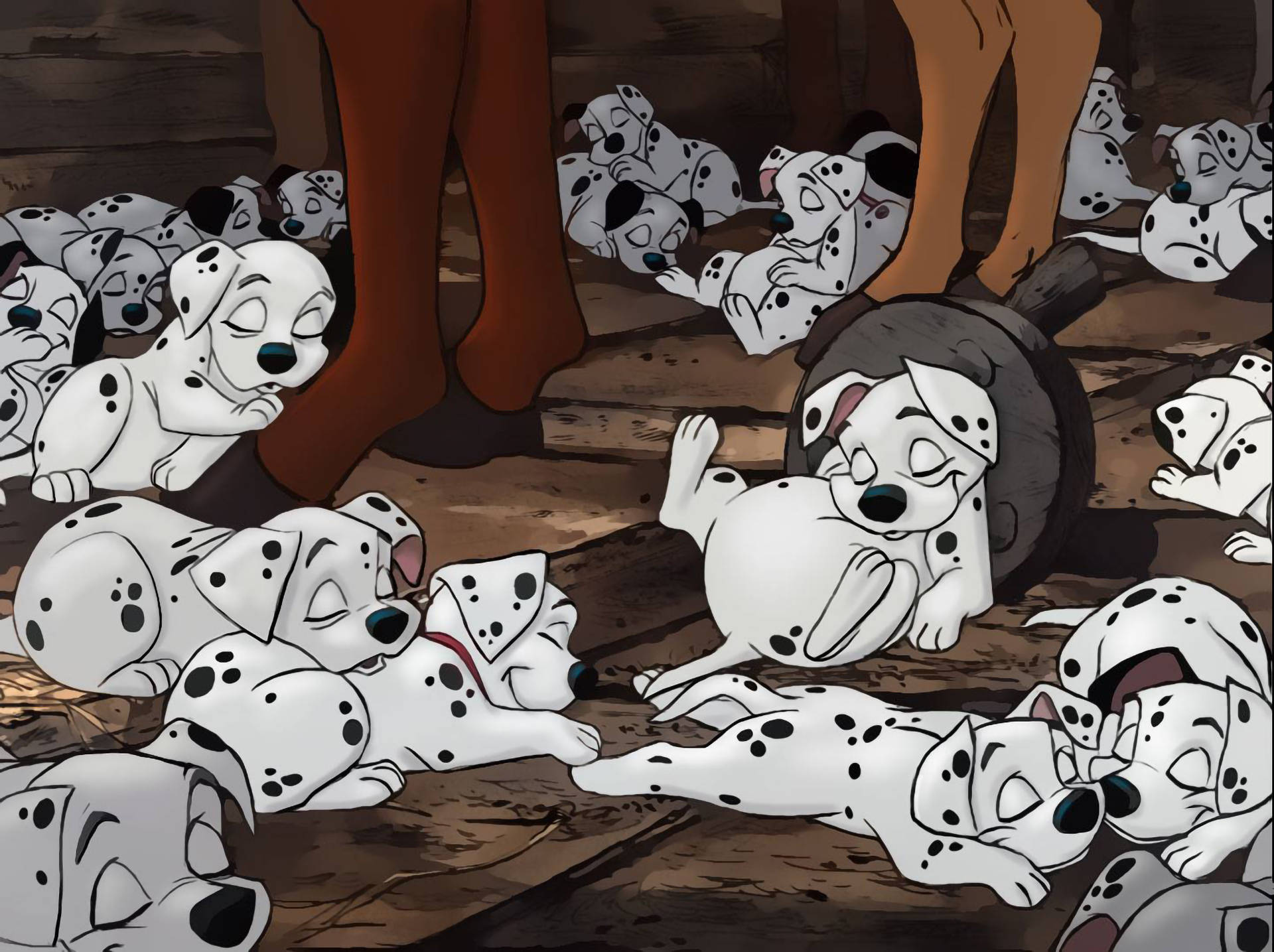 101 Dalmatians Napping On Stable Background
