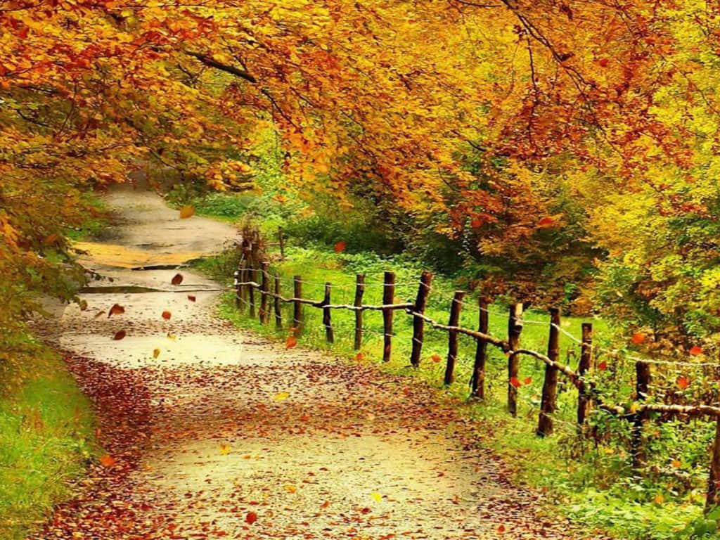A bright and colorful Autumn day. Wallpaper