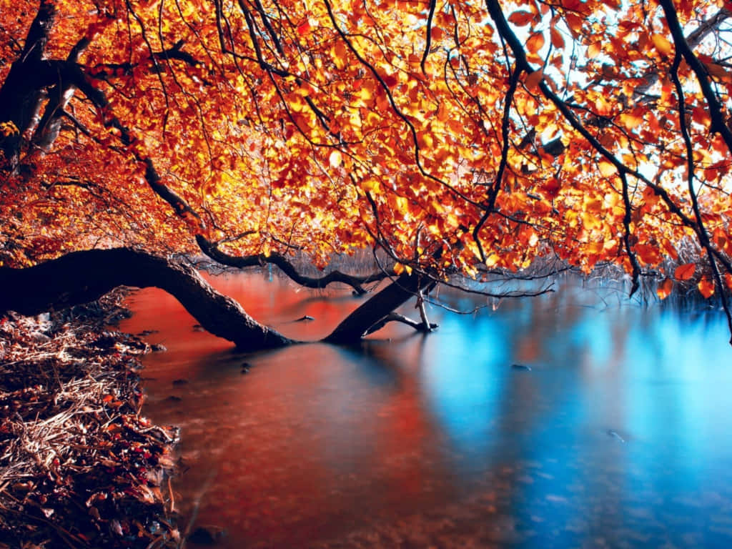 Einefriedliche Landschaft Mit Herbstlichem Ausblick Wallpaper