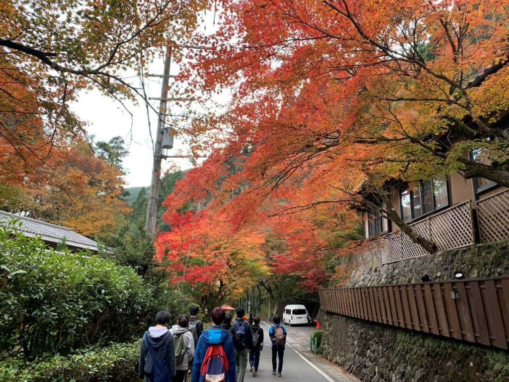 A Group Of People Walking Down A Street With Red Leaves Wallpaper