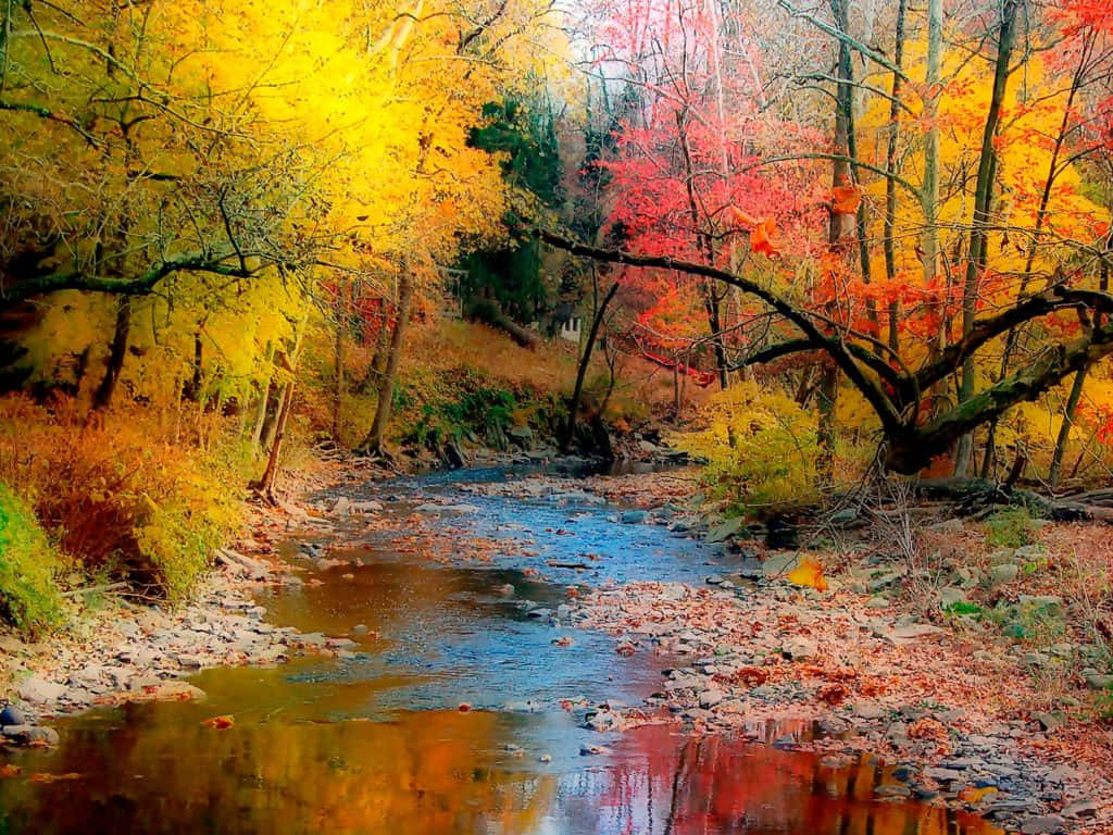 Beatiful Autumn Scene with Brightly Colored Trees Wallpaper