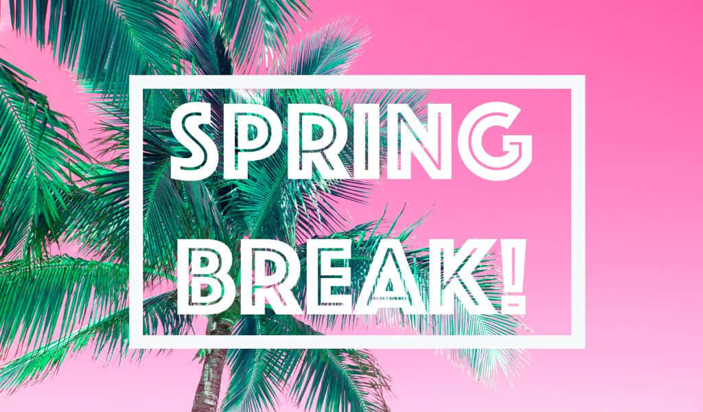 Spring Break With Palm Trees And Pink Background Wallpaper