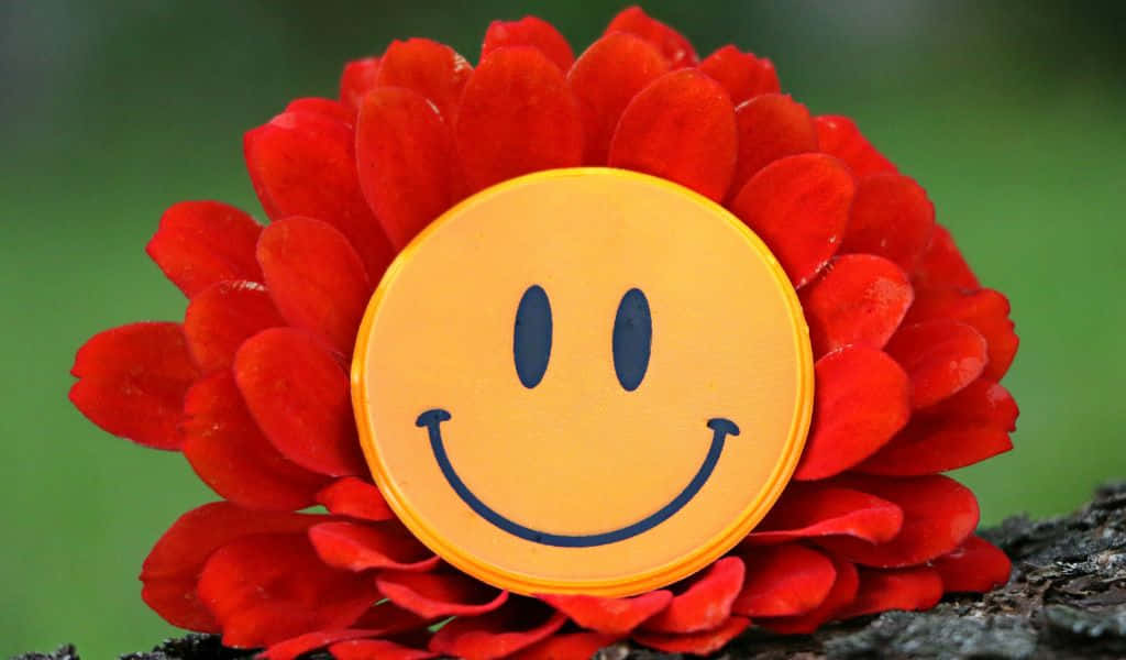 A Smiley Face Is On A Red Flower Wallpaper