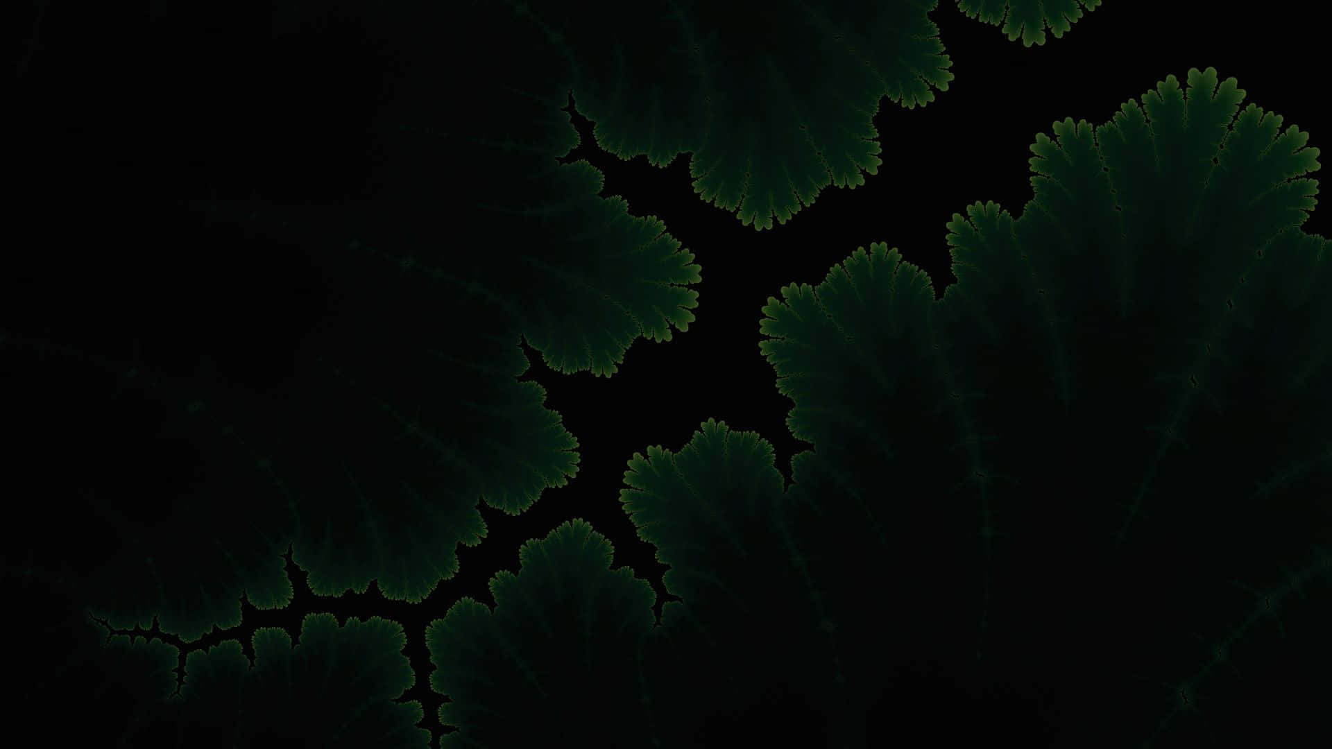 You deserve an Amoled experience with this 1080P background.