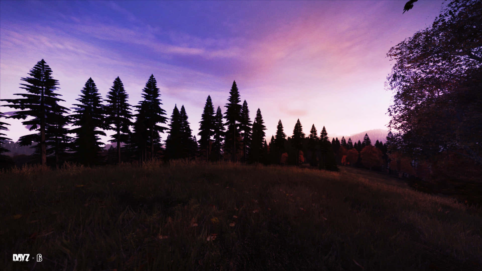 1080pdayz Hintergrund Sonnenuntergang Landschaft