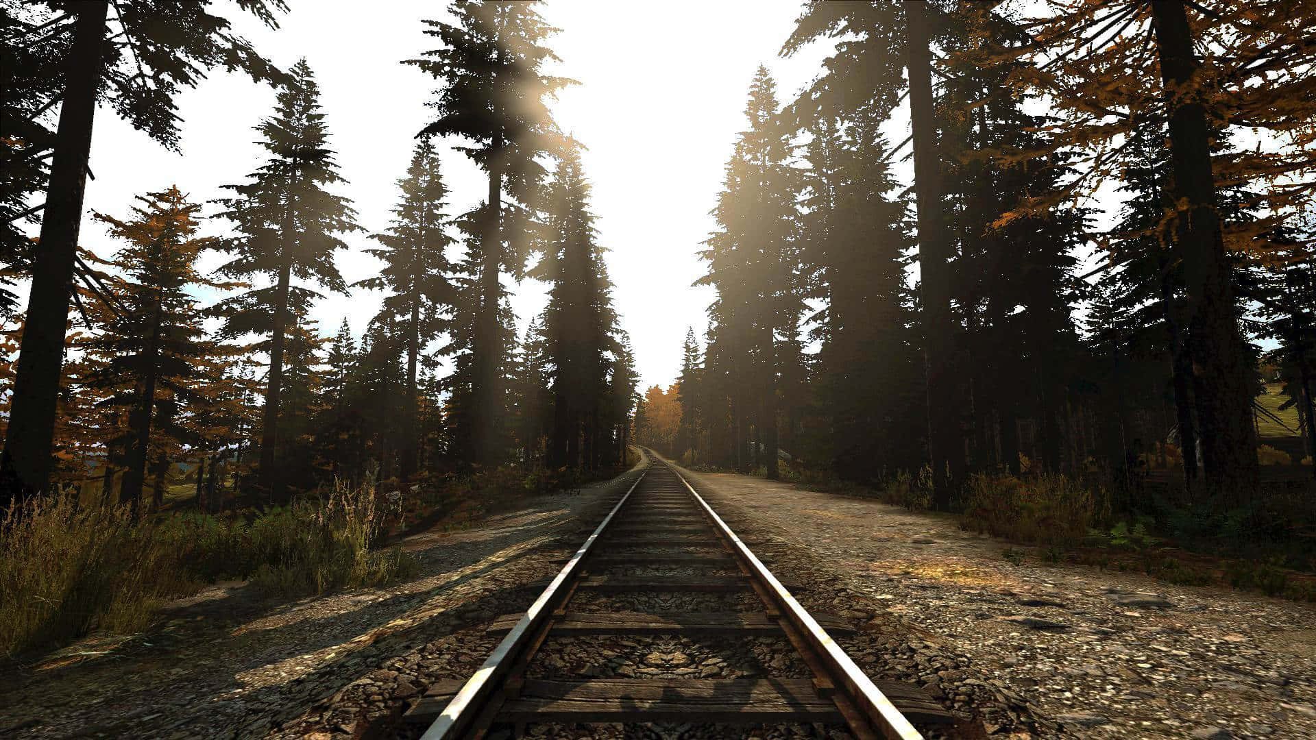 1080p Dayz Background Train Tracks