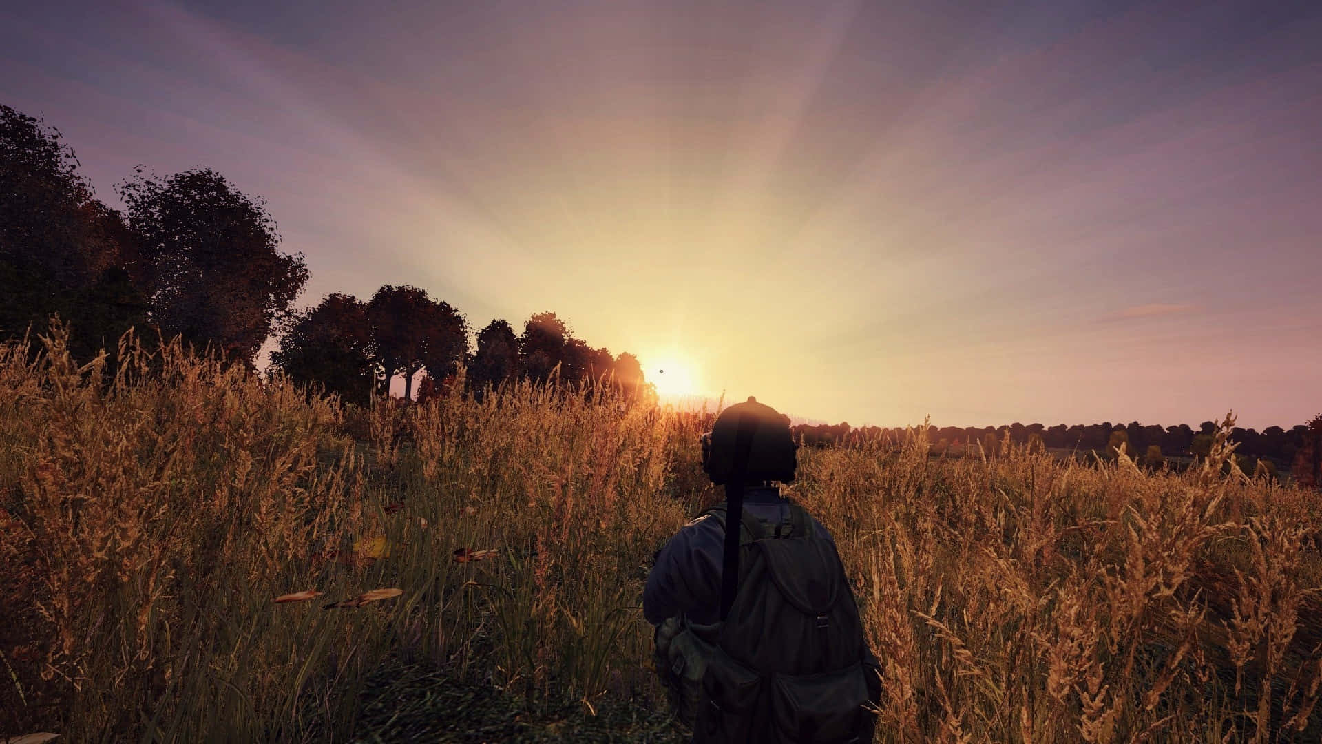 1080p Dayz Background Person In A Wheat Field