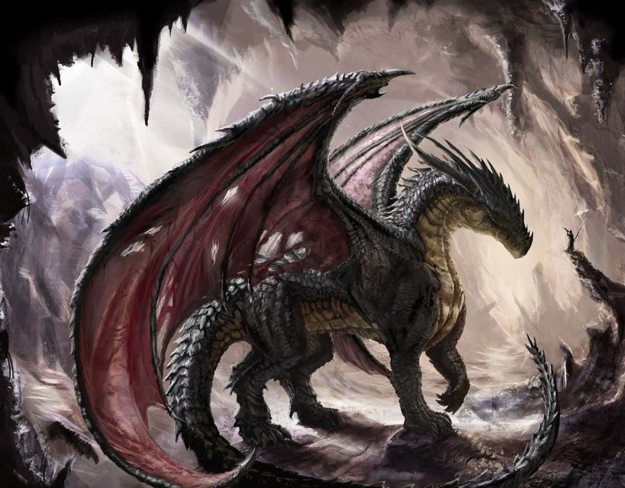 1080p Terra Dragon Book Trilogy Wallpaper