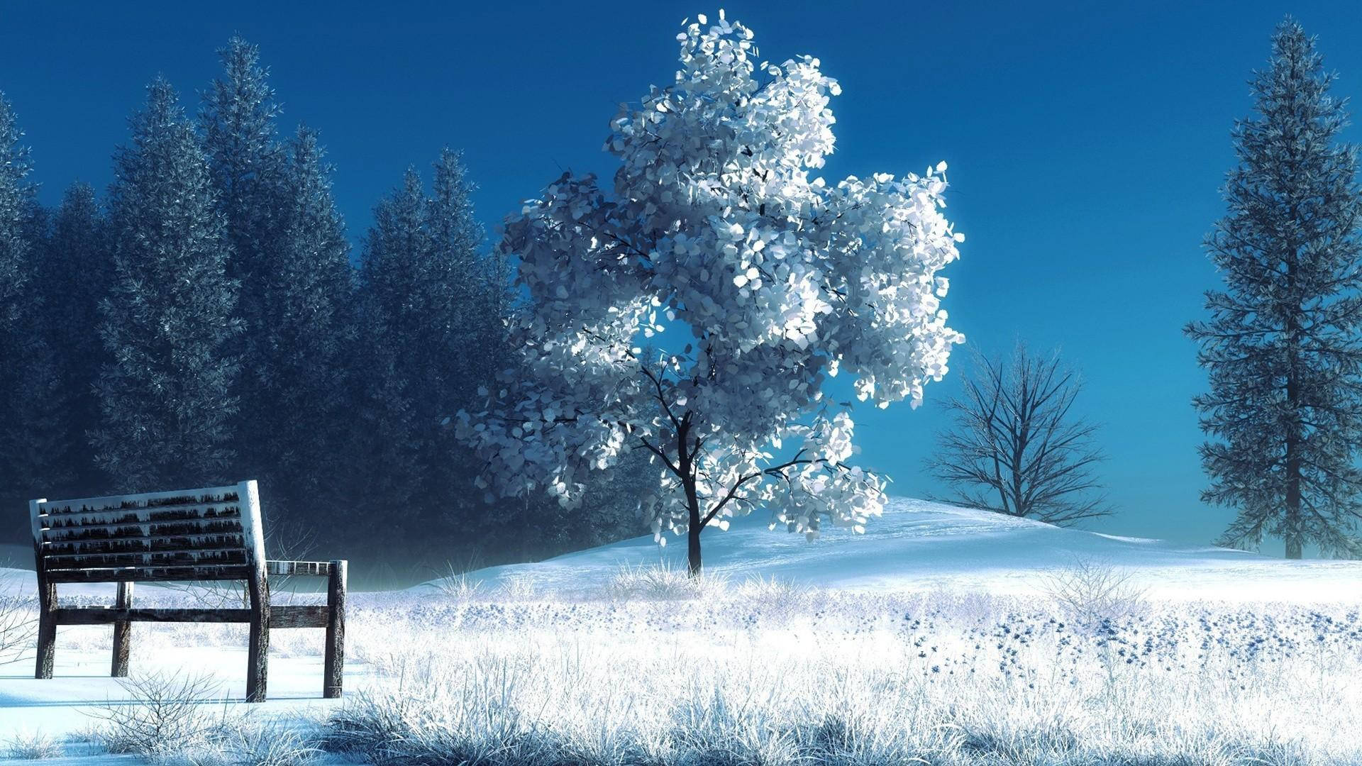 1080p HD bænk og træer under vinter Wallpaper