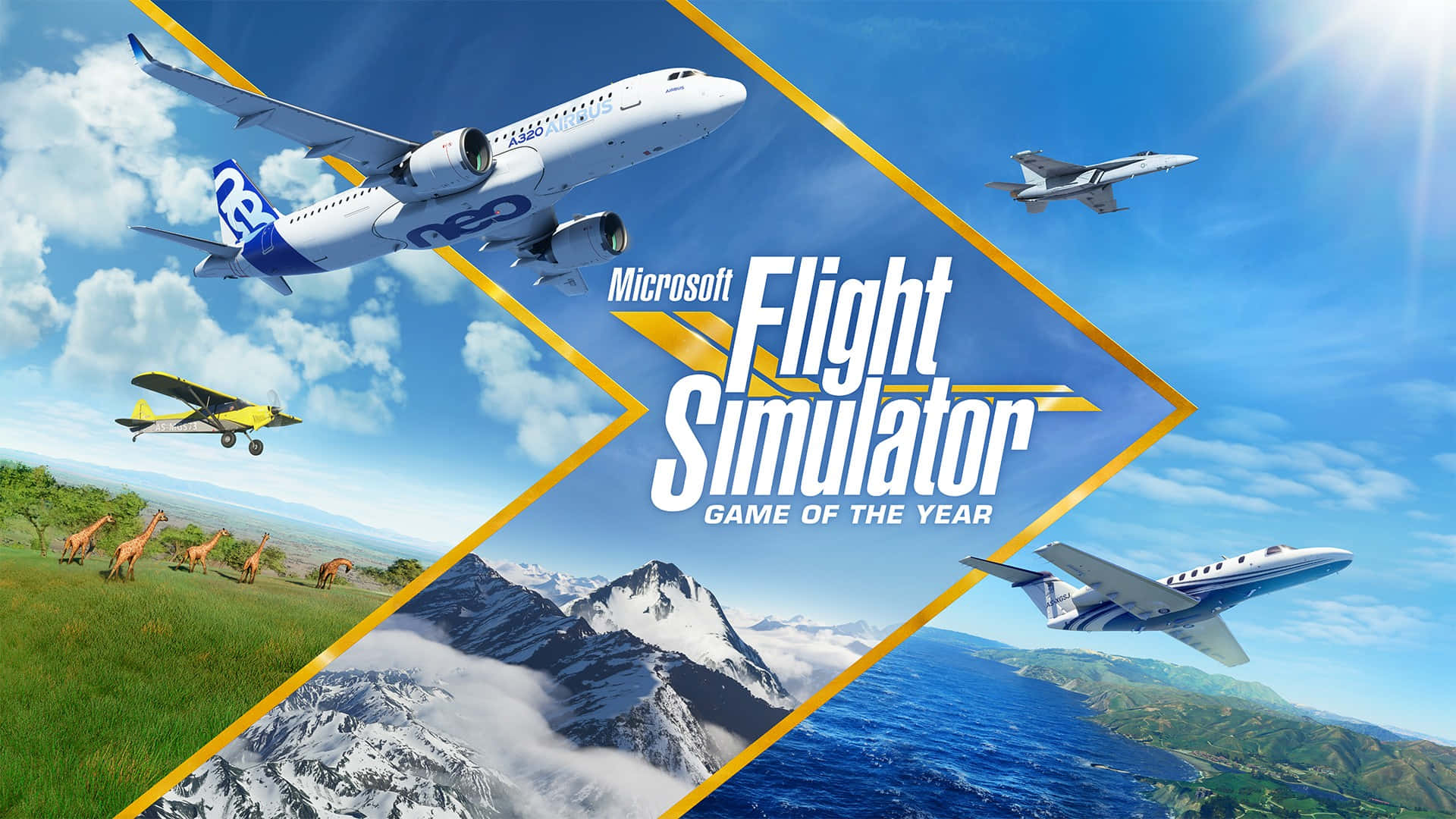 Flight Simulator Game Of The Year
