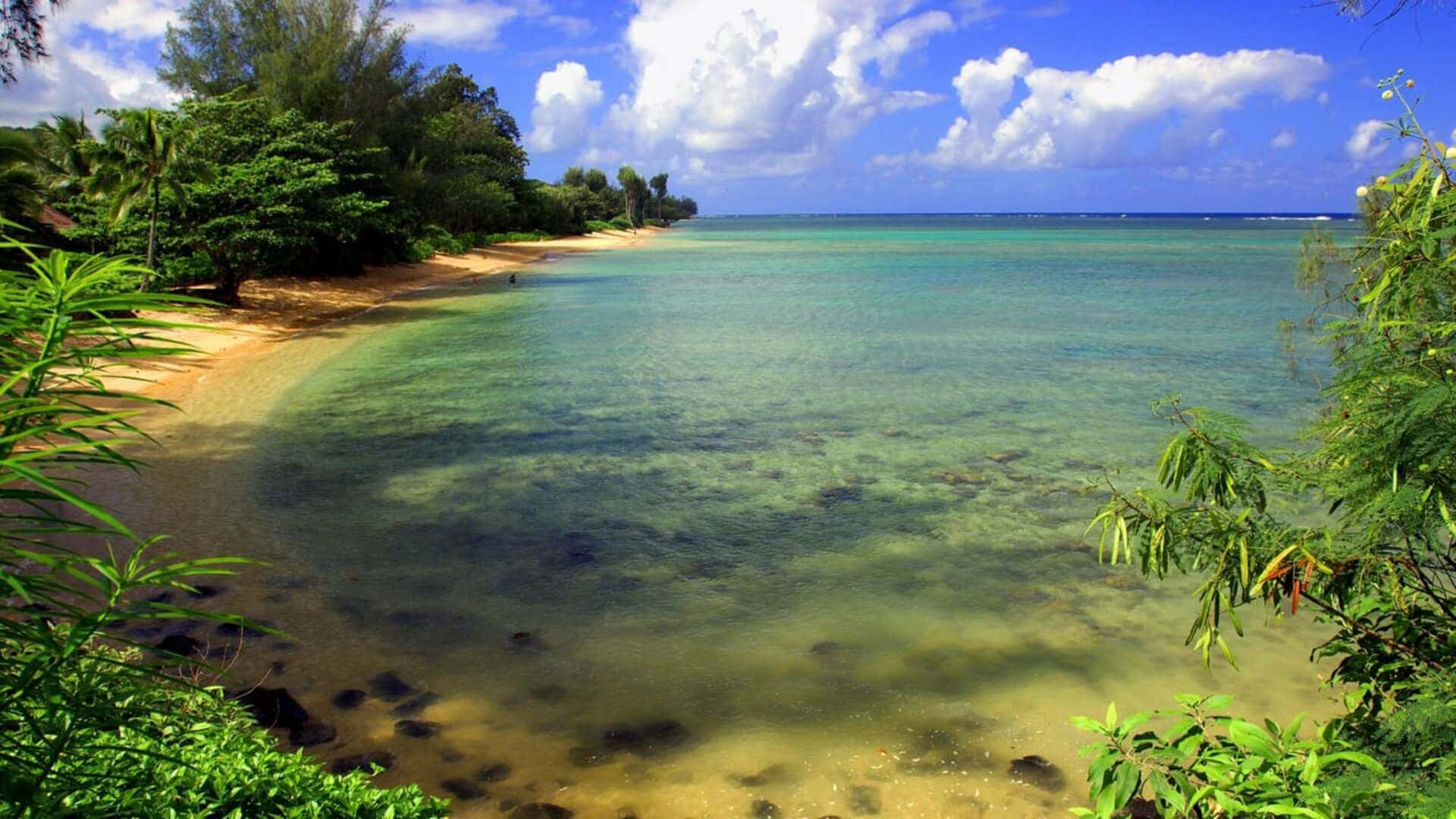 1080pbakgrundsbild Natur Anini Beach
