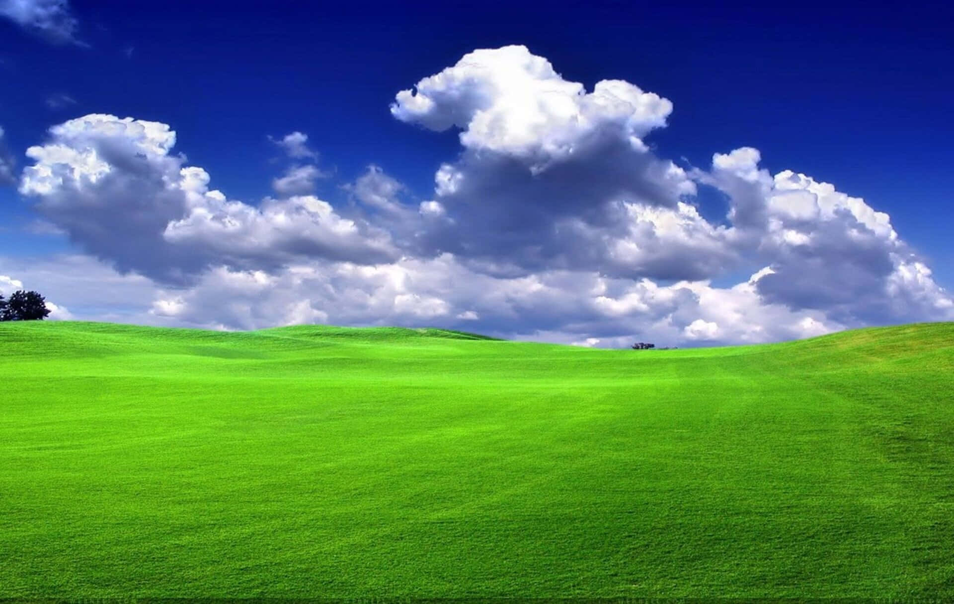 1080p Nature Background Grass Fields