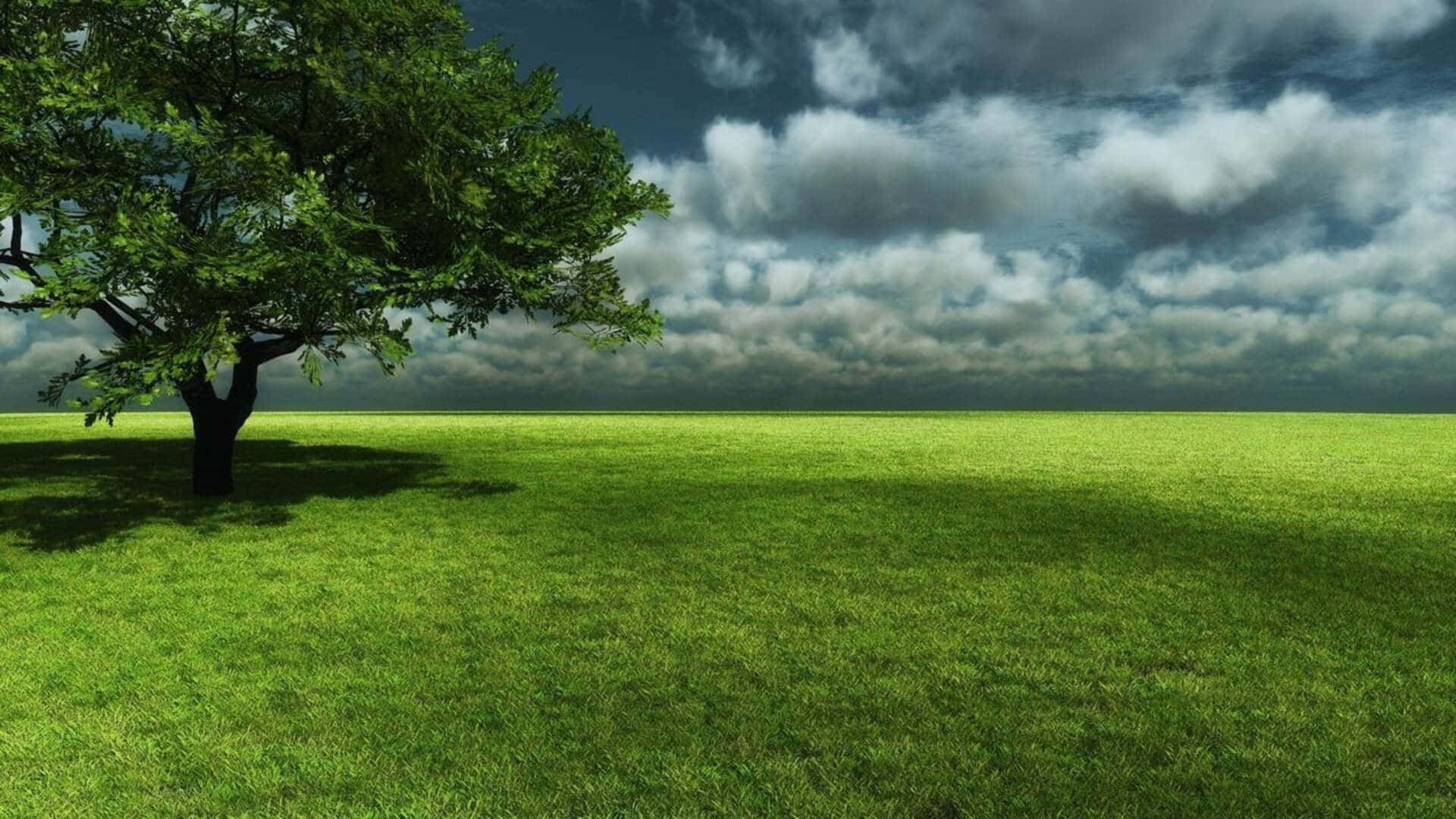 1080pnatur Hintergrund Dunkle Wolken Grünes Feld