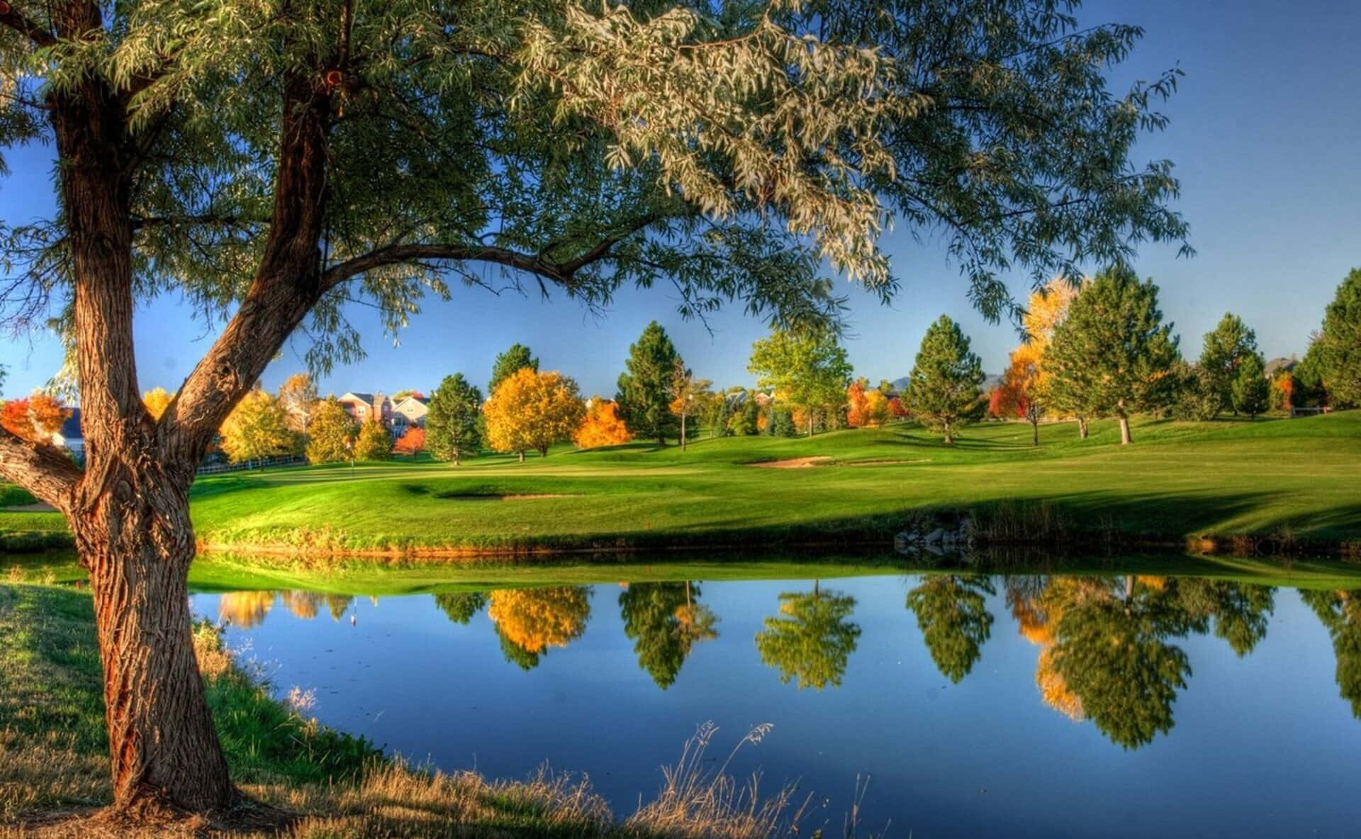 1080p Nature baggrund Golf Course: