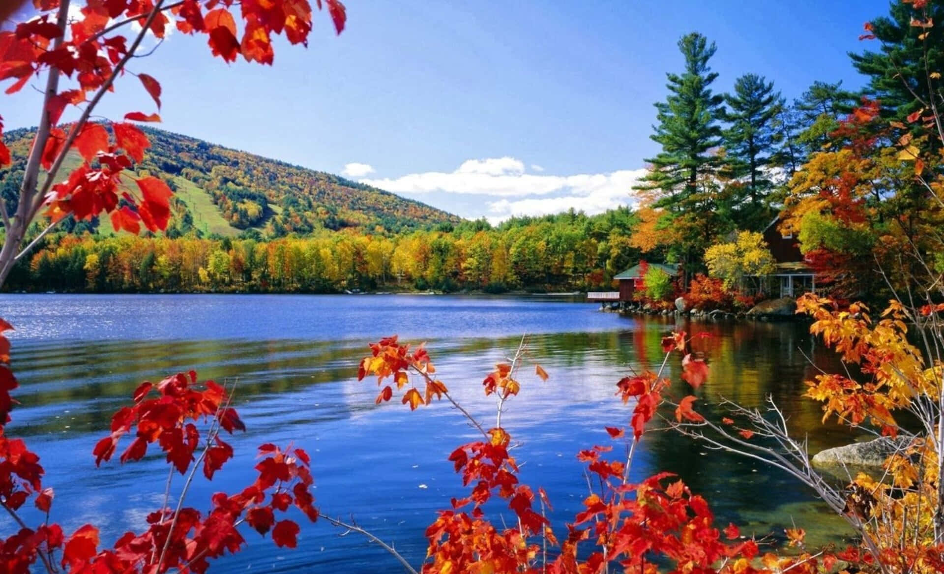 1080p natur baggrund sø i efterårs sæsonen med farverige flydende reflektioner