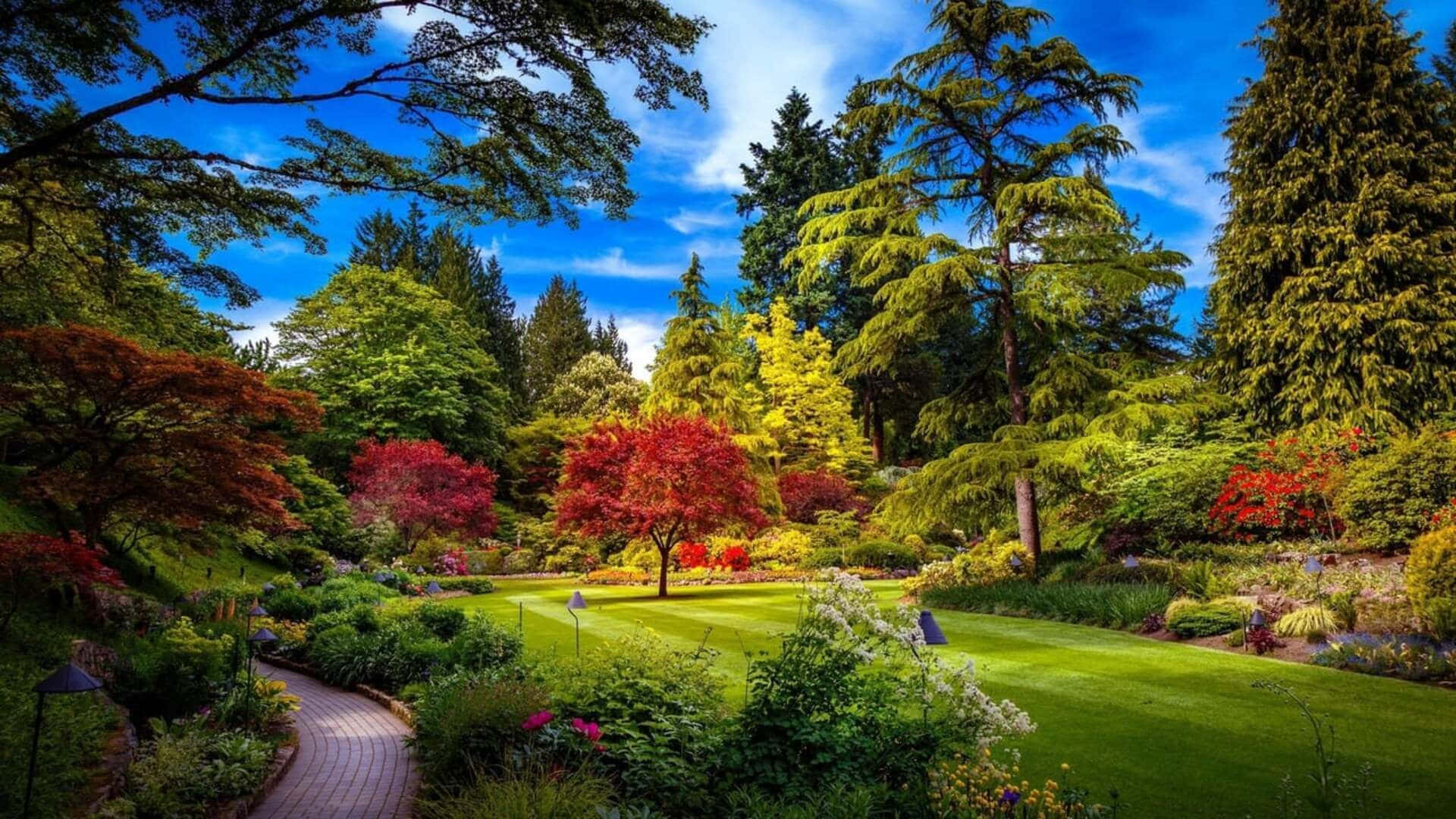 1080p Nature Background The Butchart Gardens