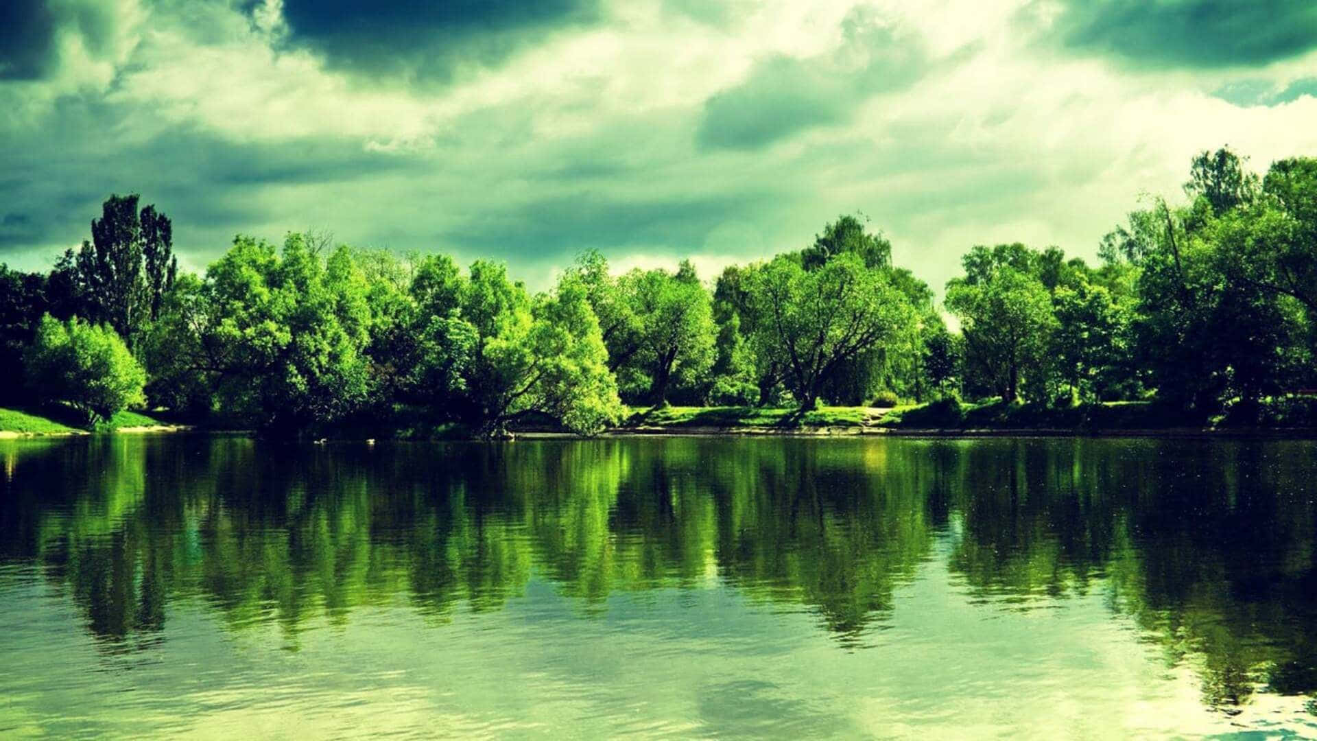 Nature Background Green Trees And Lake 1080p