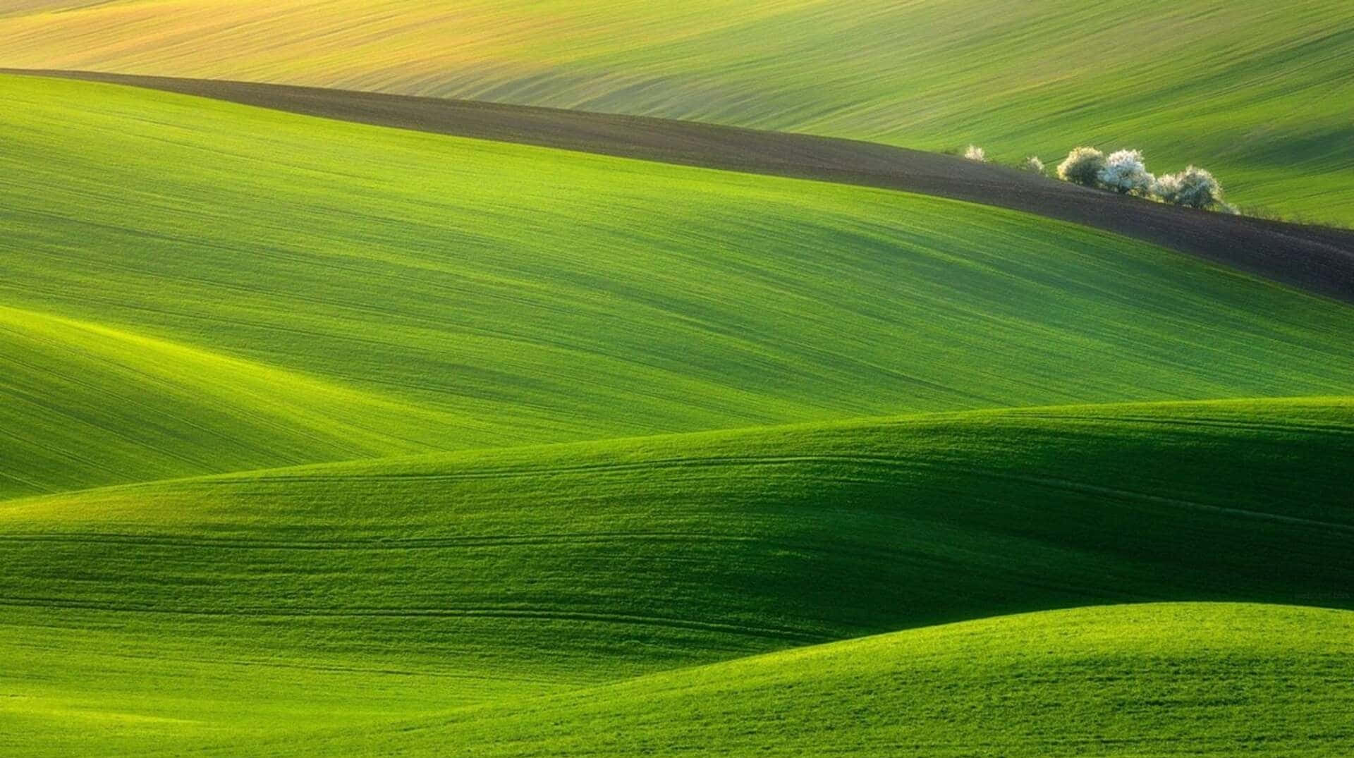 1080p Nature Background Rolling Green Hills